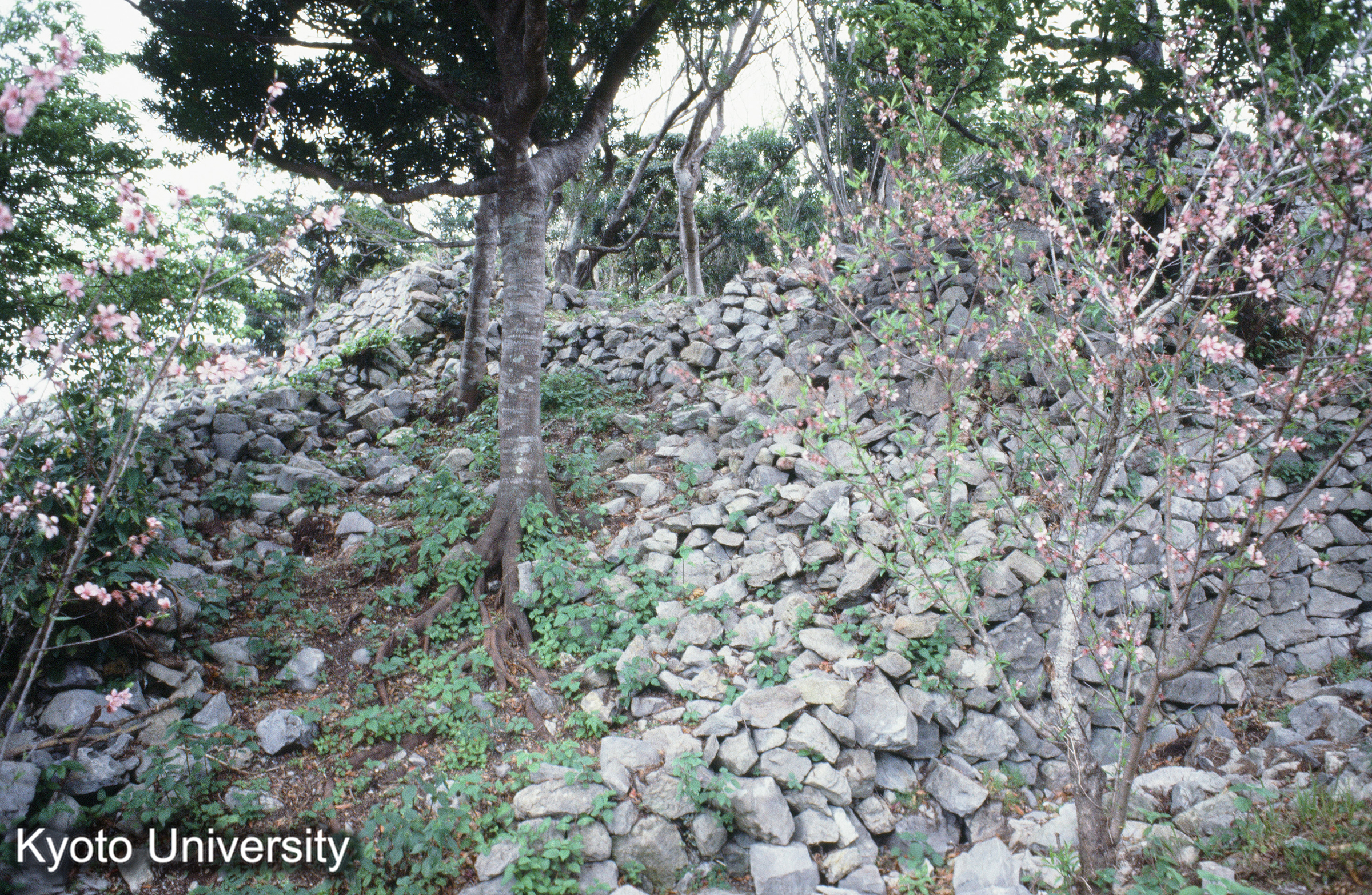 ［スライド］ (1)