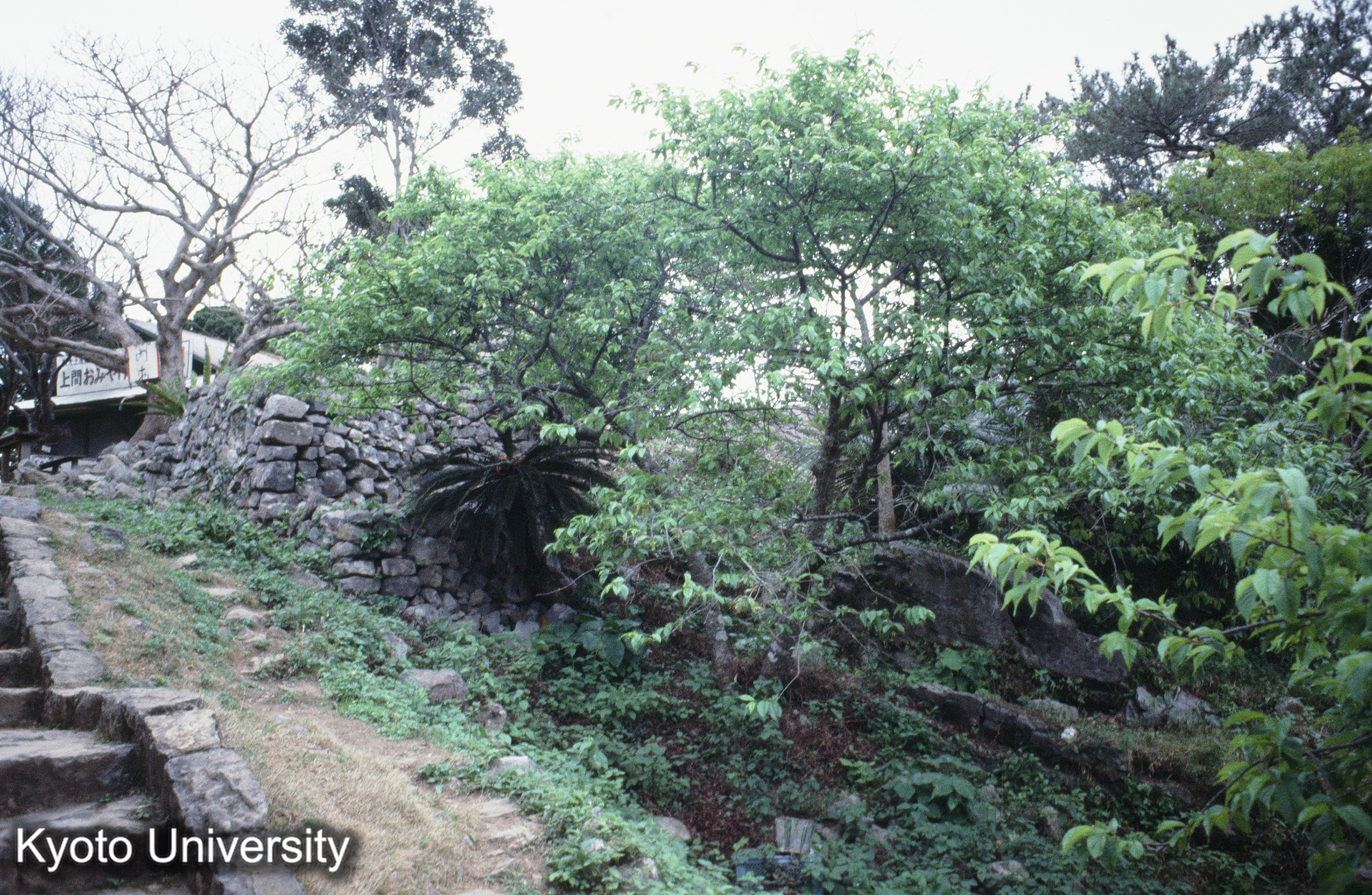 ［スライド］ (1)