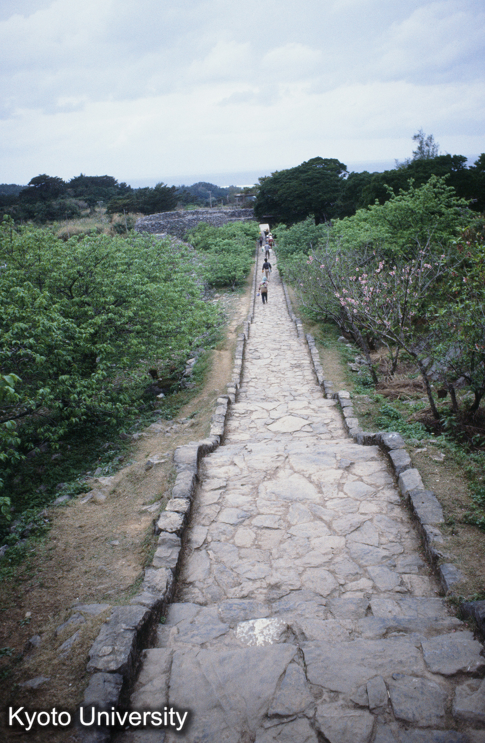 ［スライド］ (1)