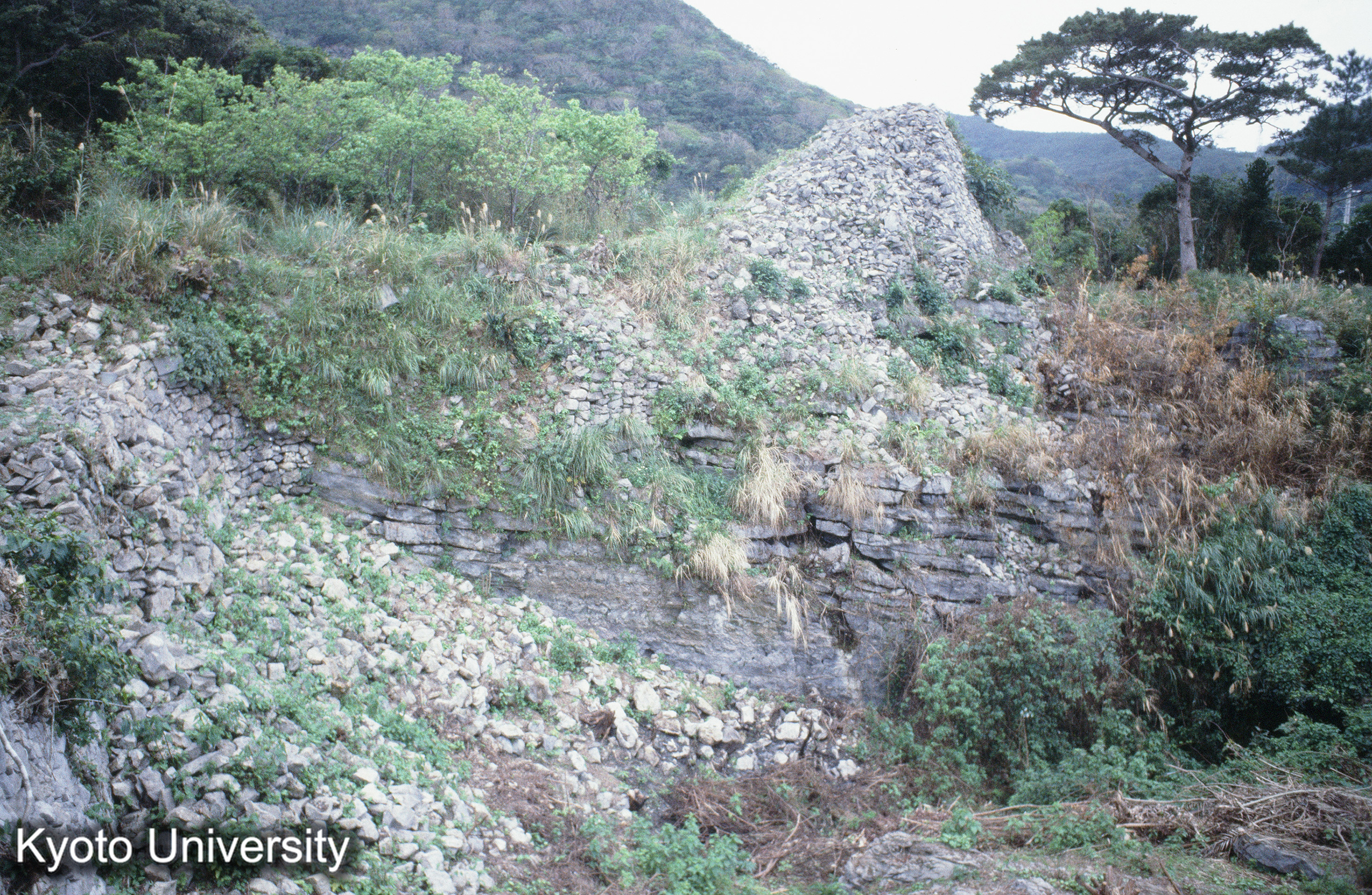 ［スライド］ (1)