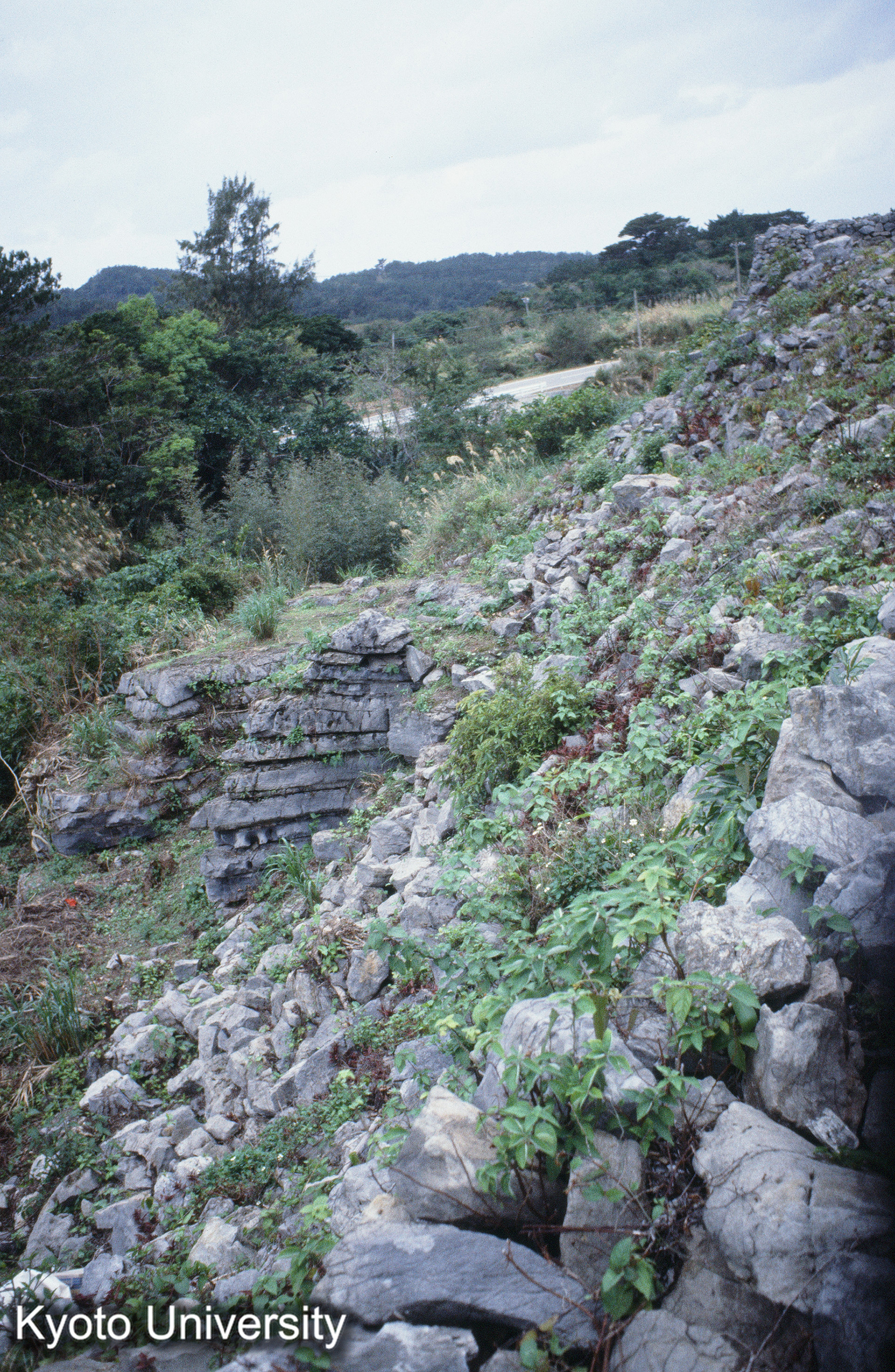 ［スライド］ (1)