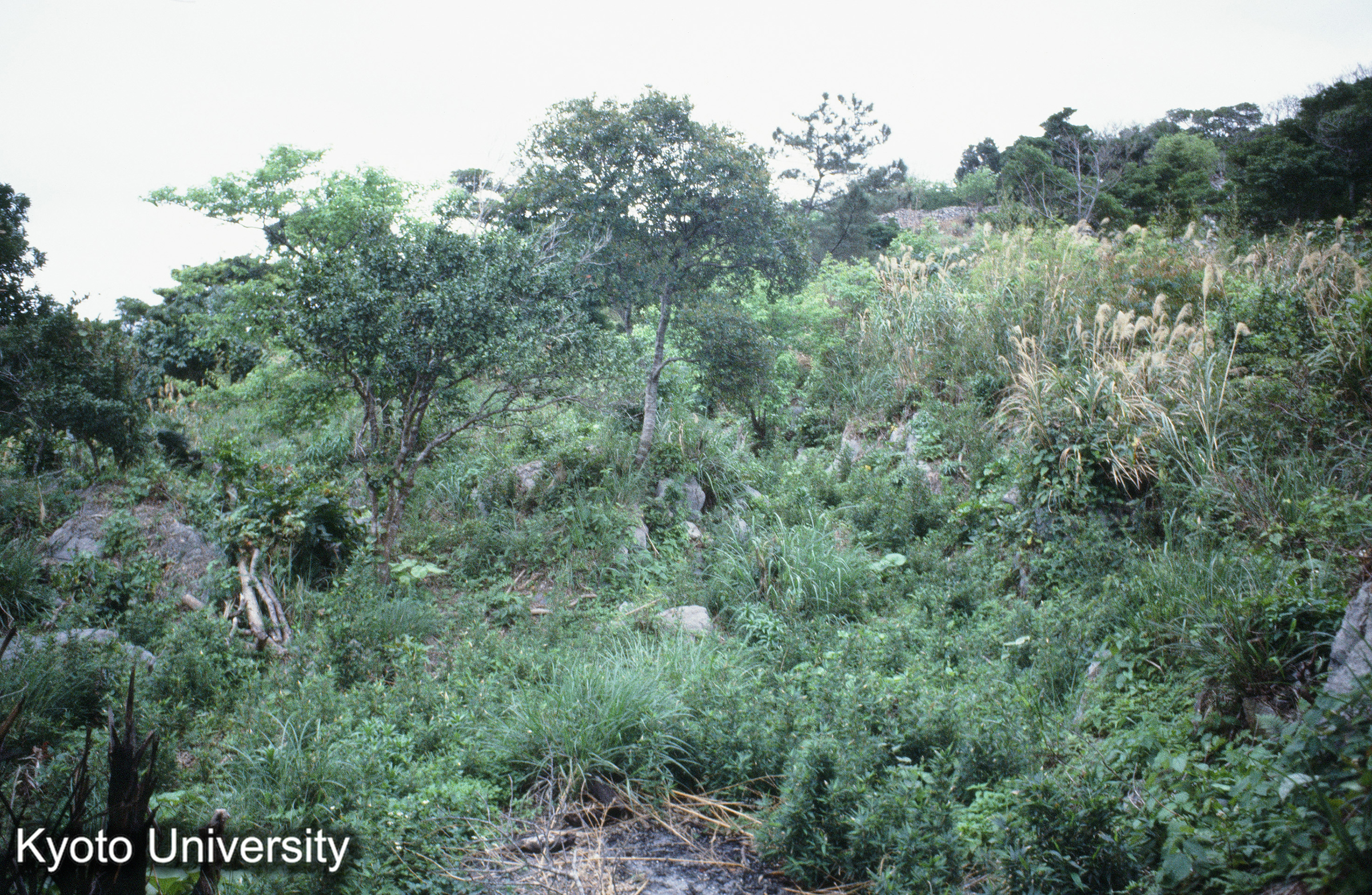 ［スライド］ (1)