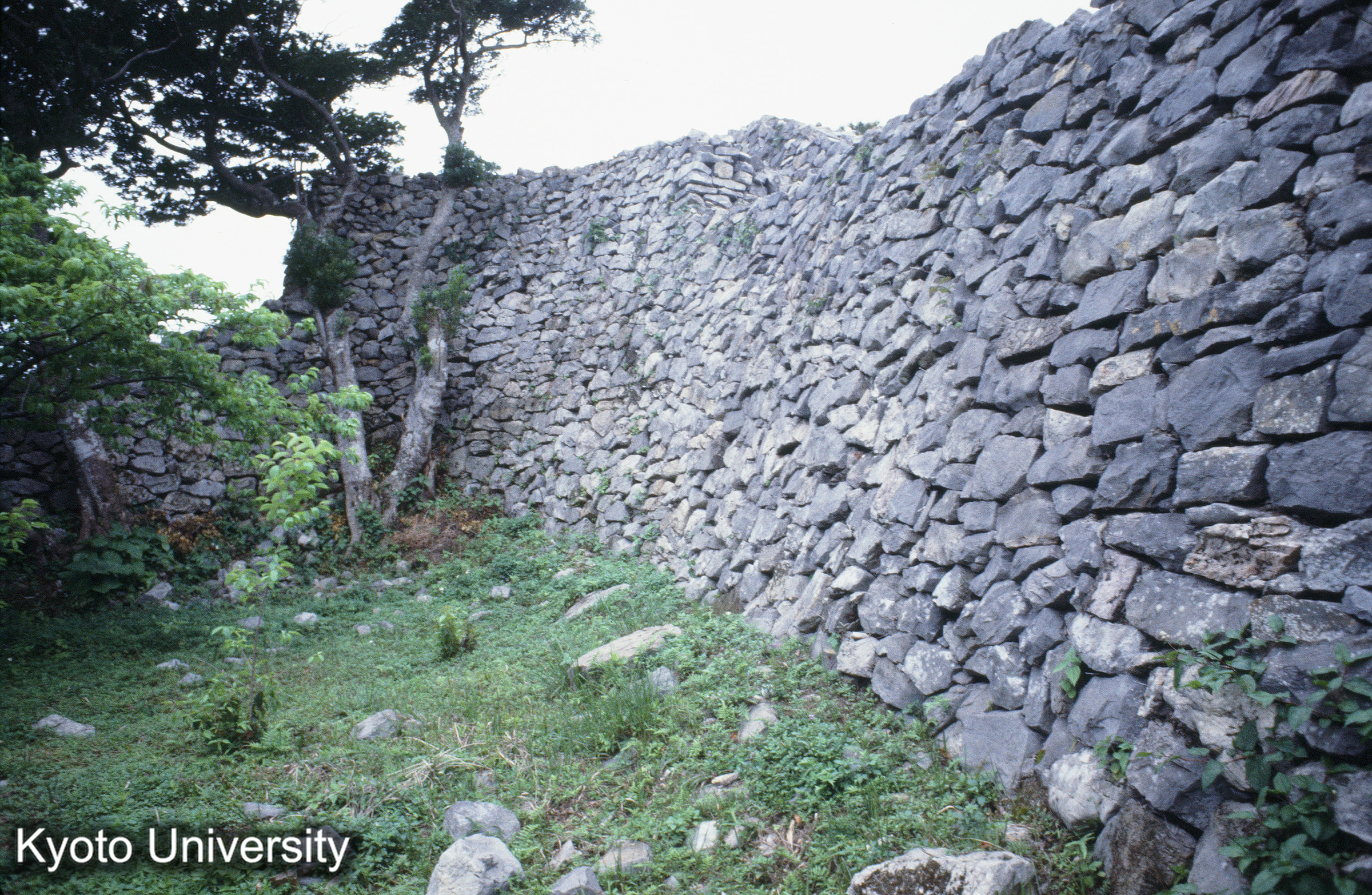 ［スライド］ (1)