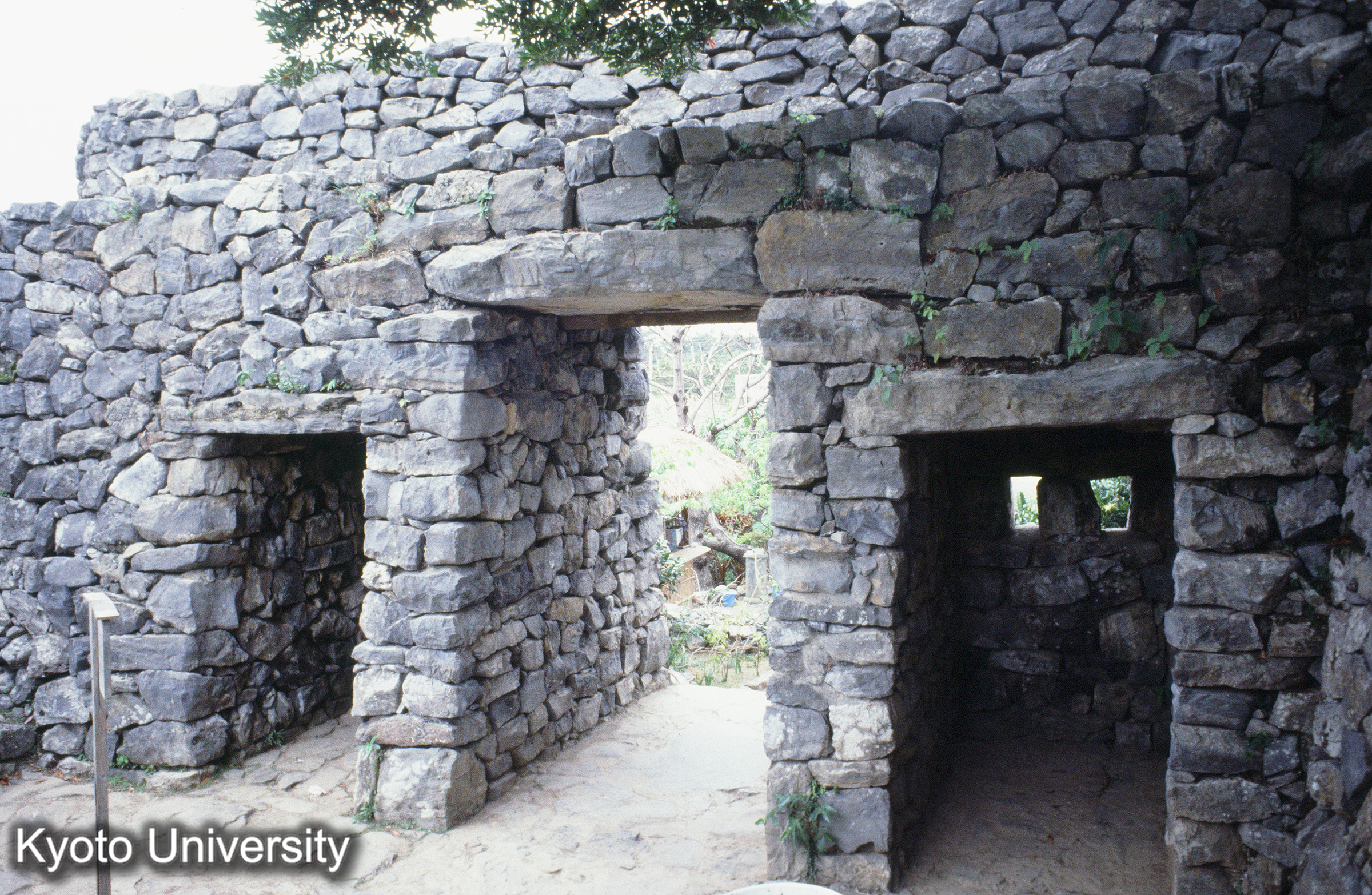 ［スライド］ (1)