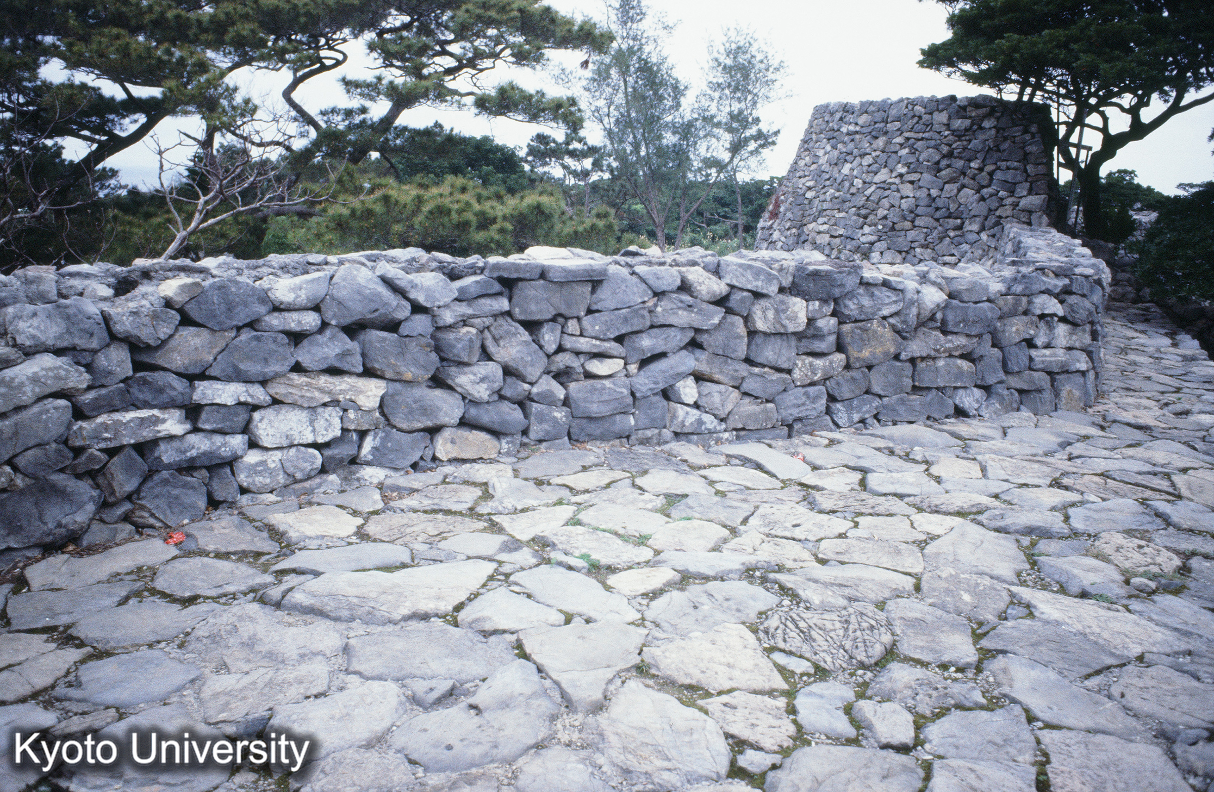 ［スライド］ (1)