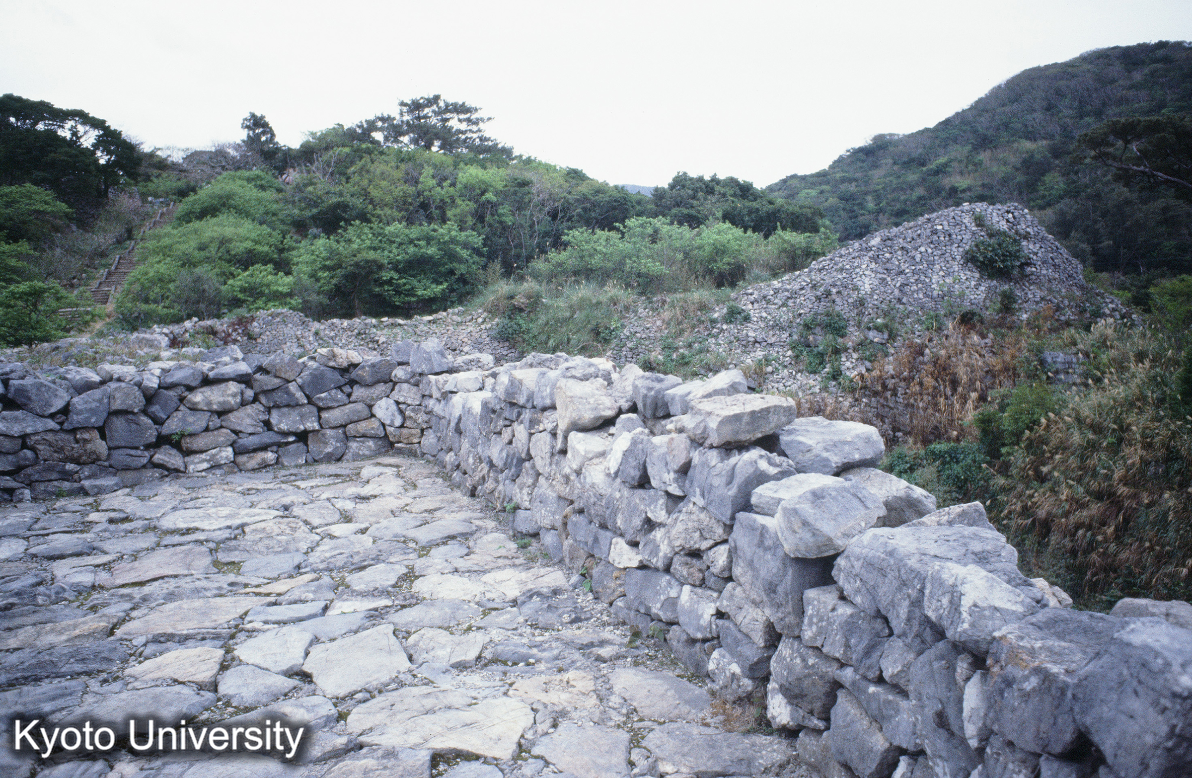 ［スライド］ (1)