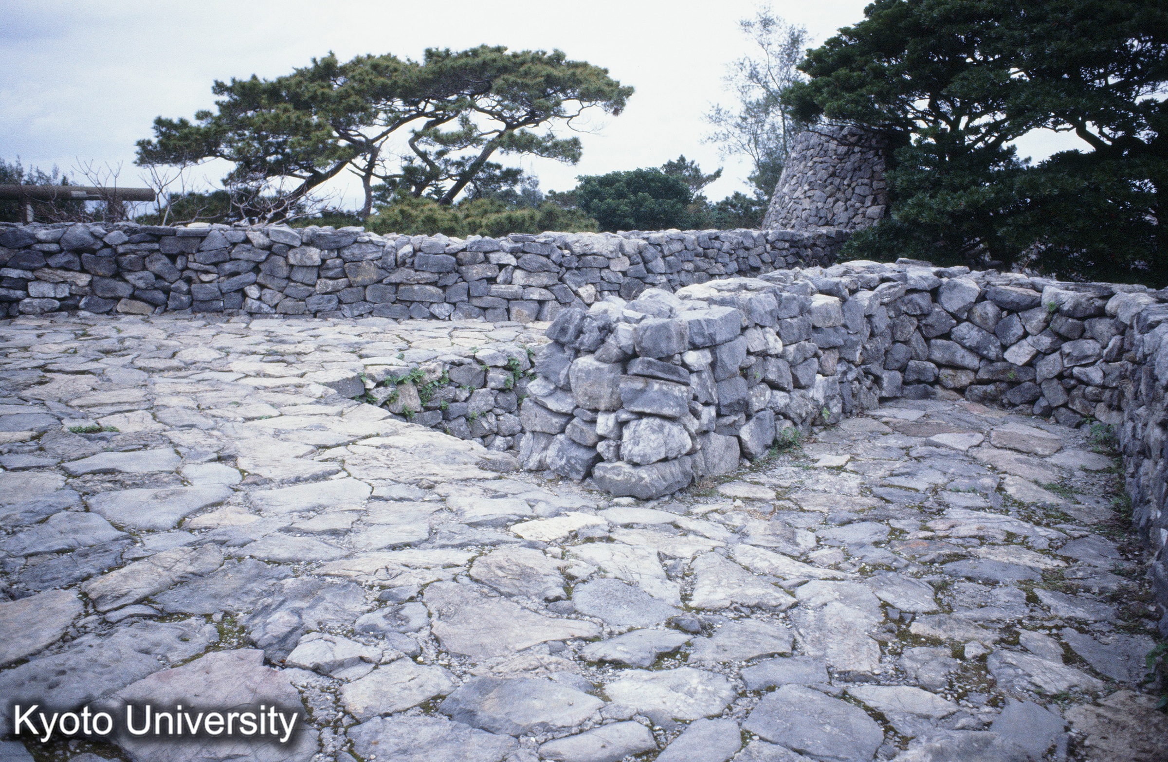 ［スライド］ (1)