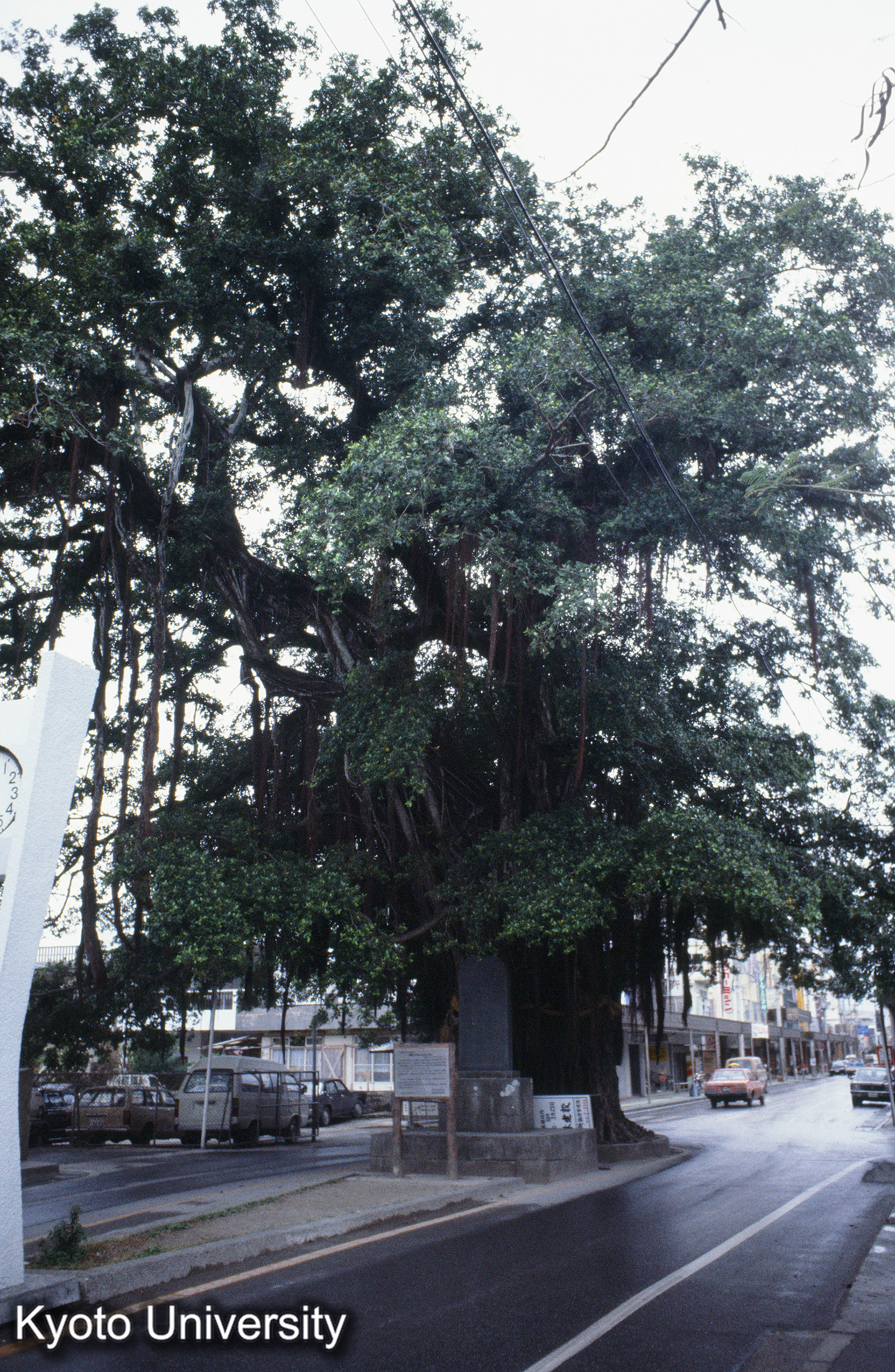 ［スライド］ (1)