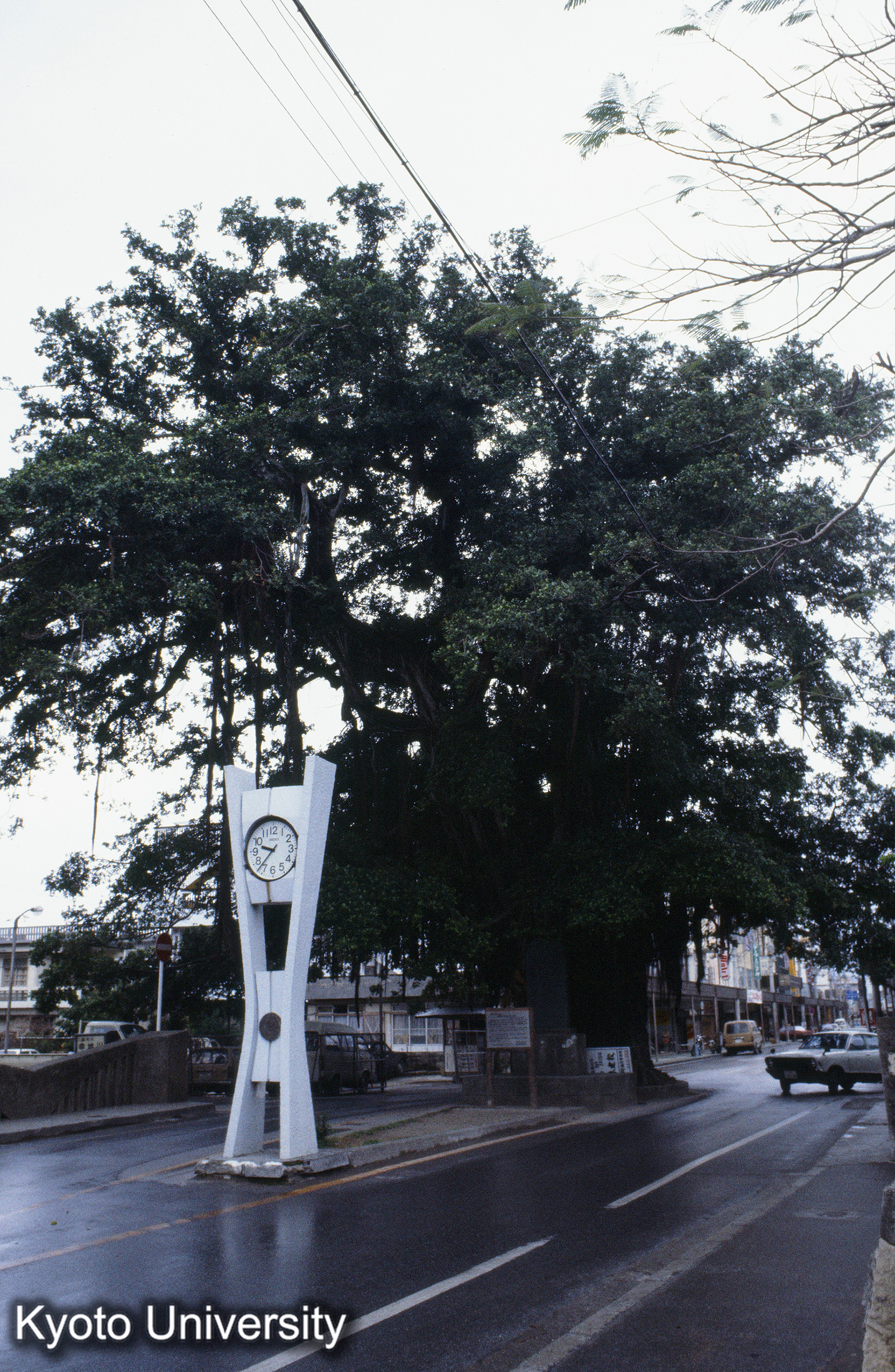 ［スライド］ (1)