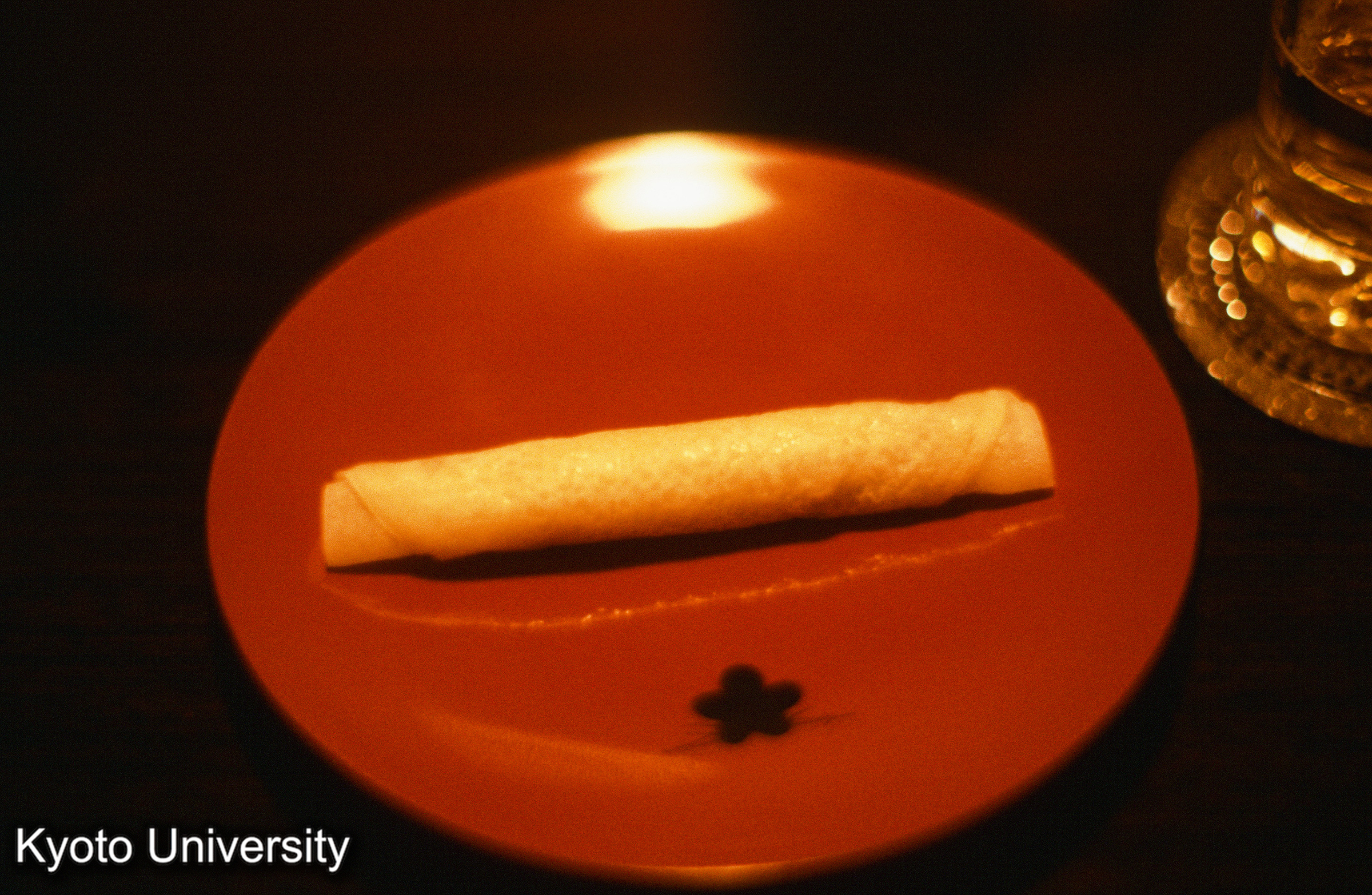 ［スライド］ (1)