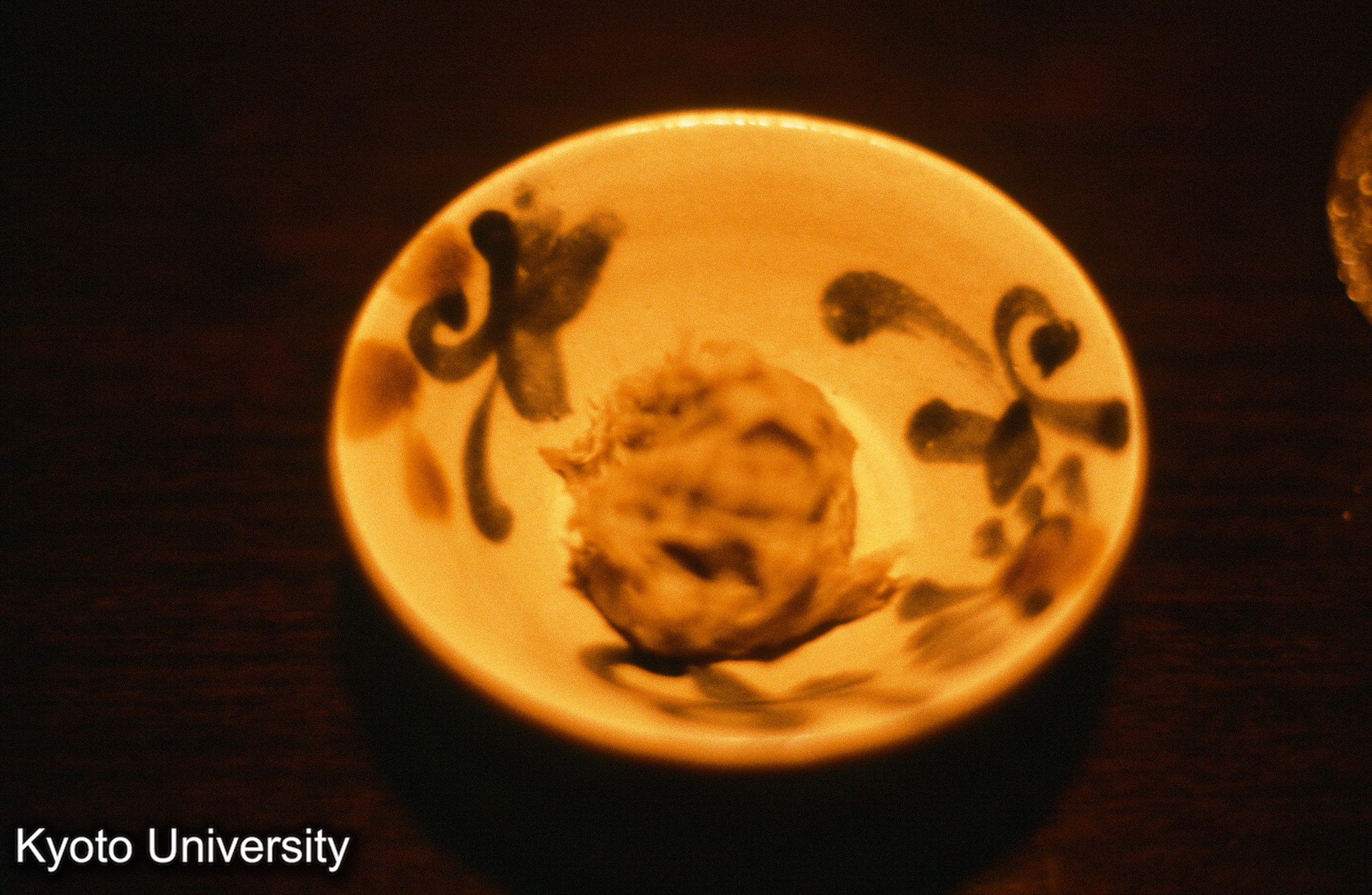 ［スライド］ (1)