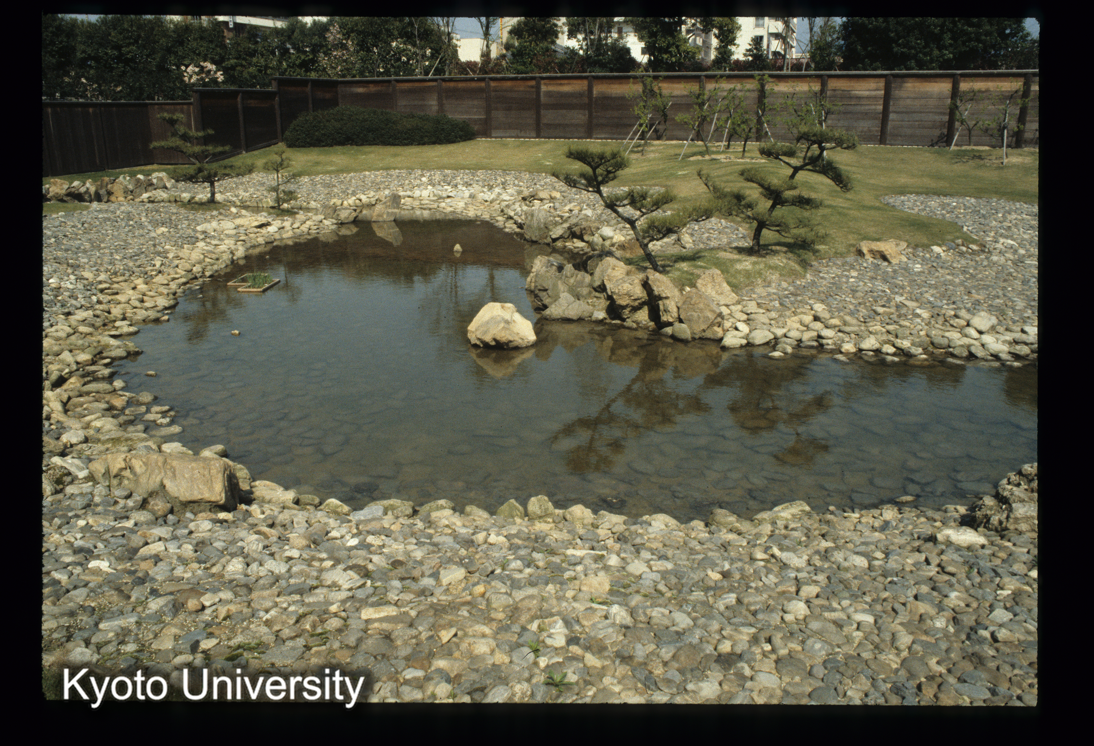 ［スライド］ (1)