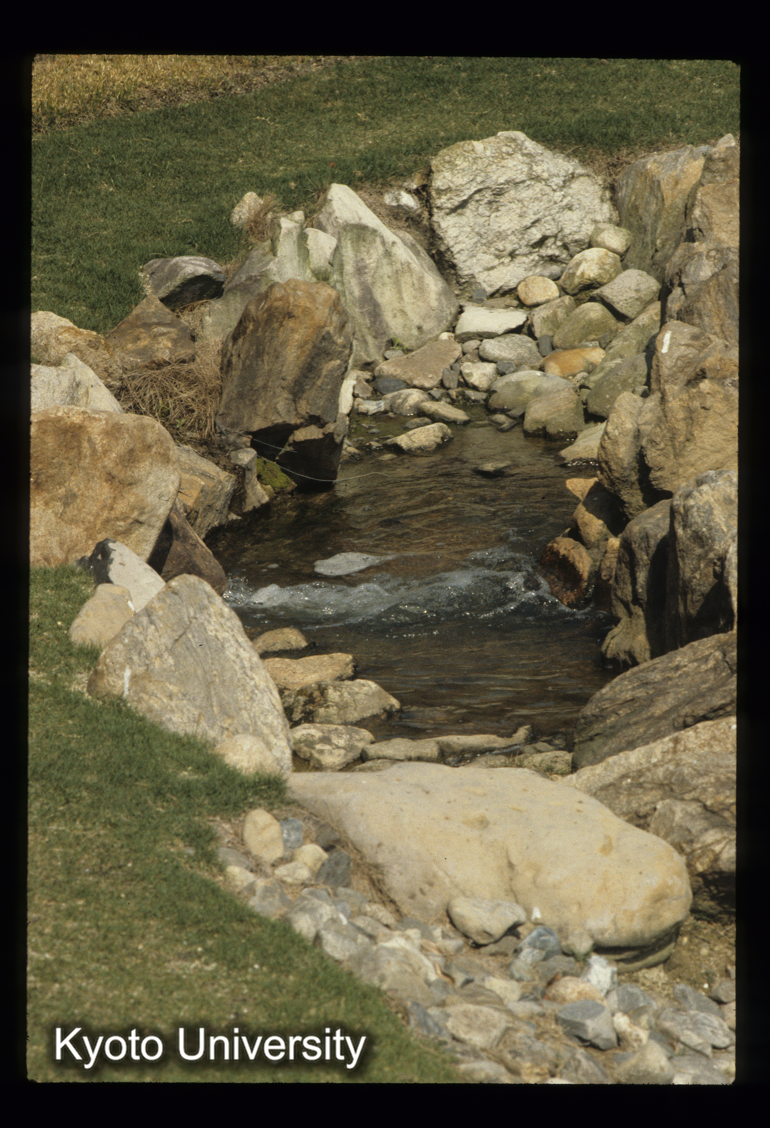 ［スライド］ (1)