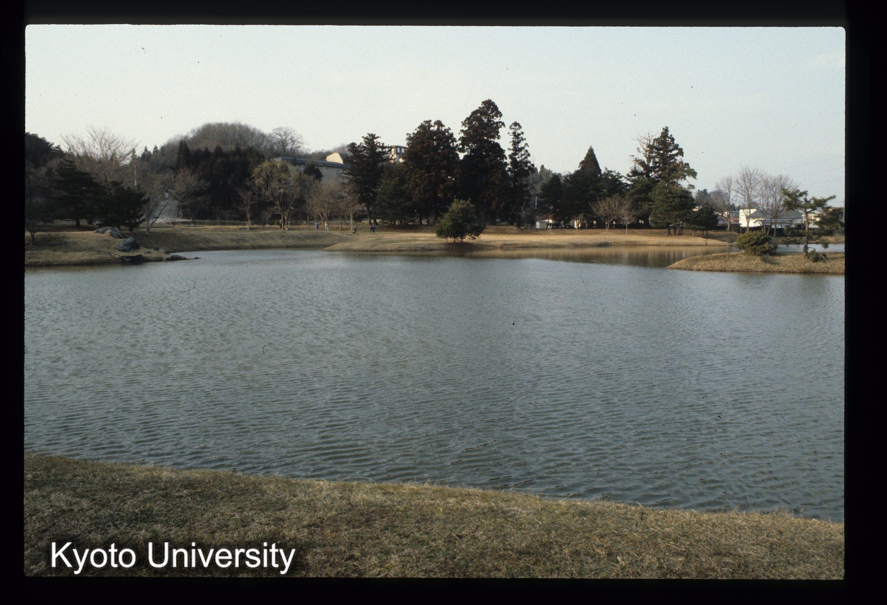 ［スライド］ (1)