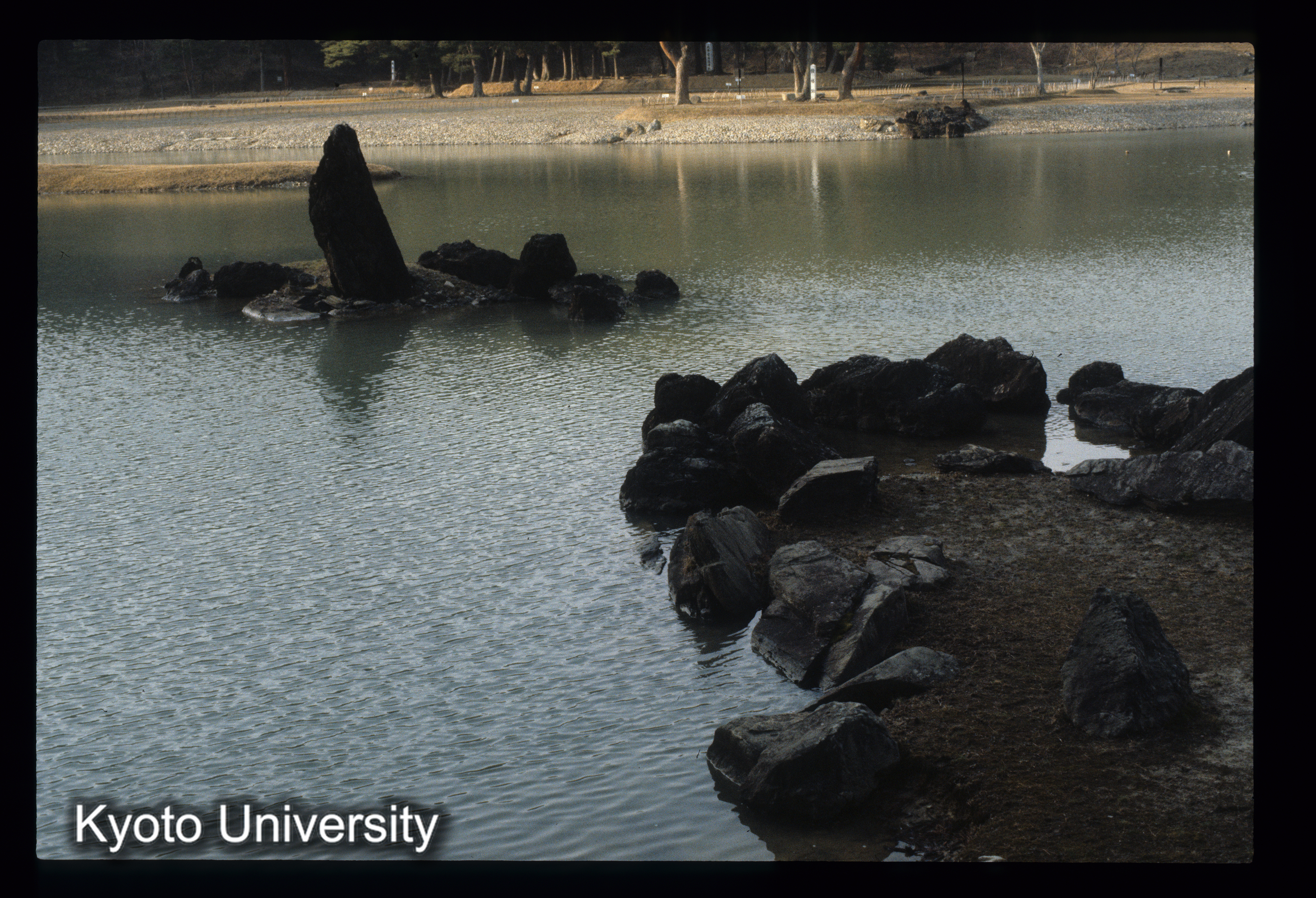 ［スライド］ (1)