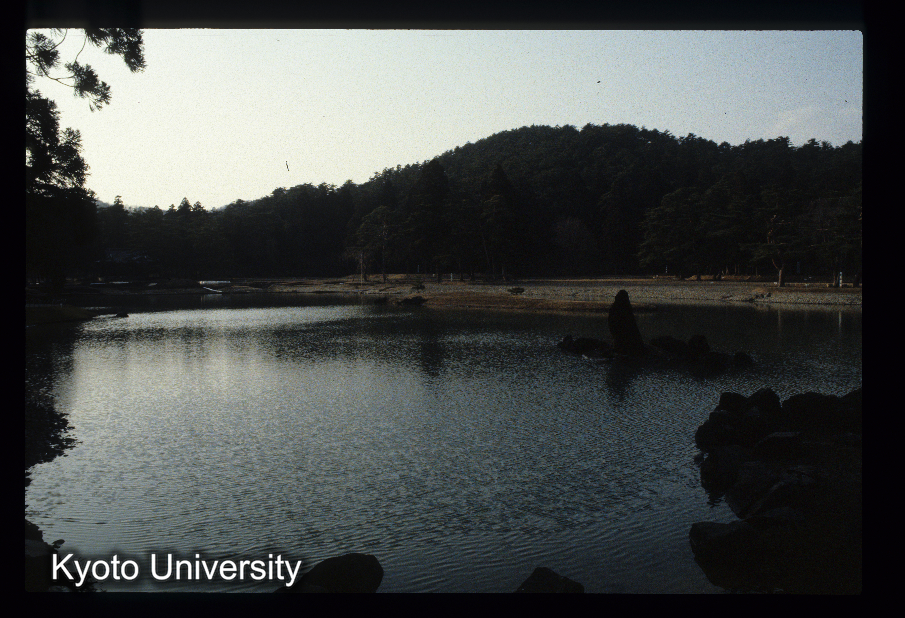 ［スライド］ (1)