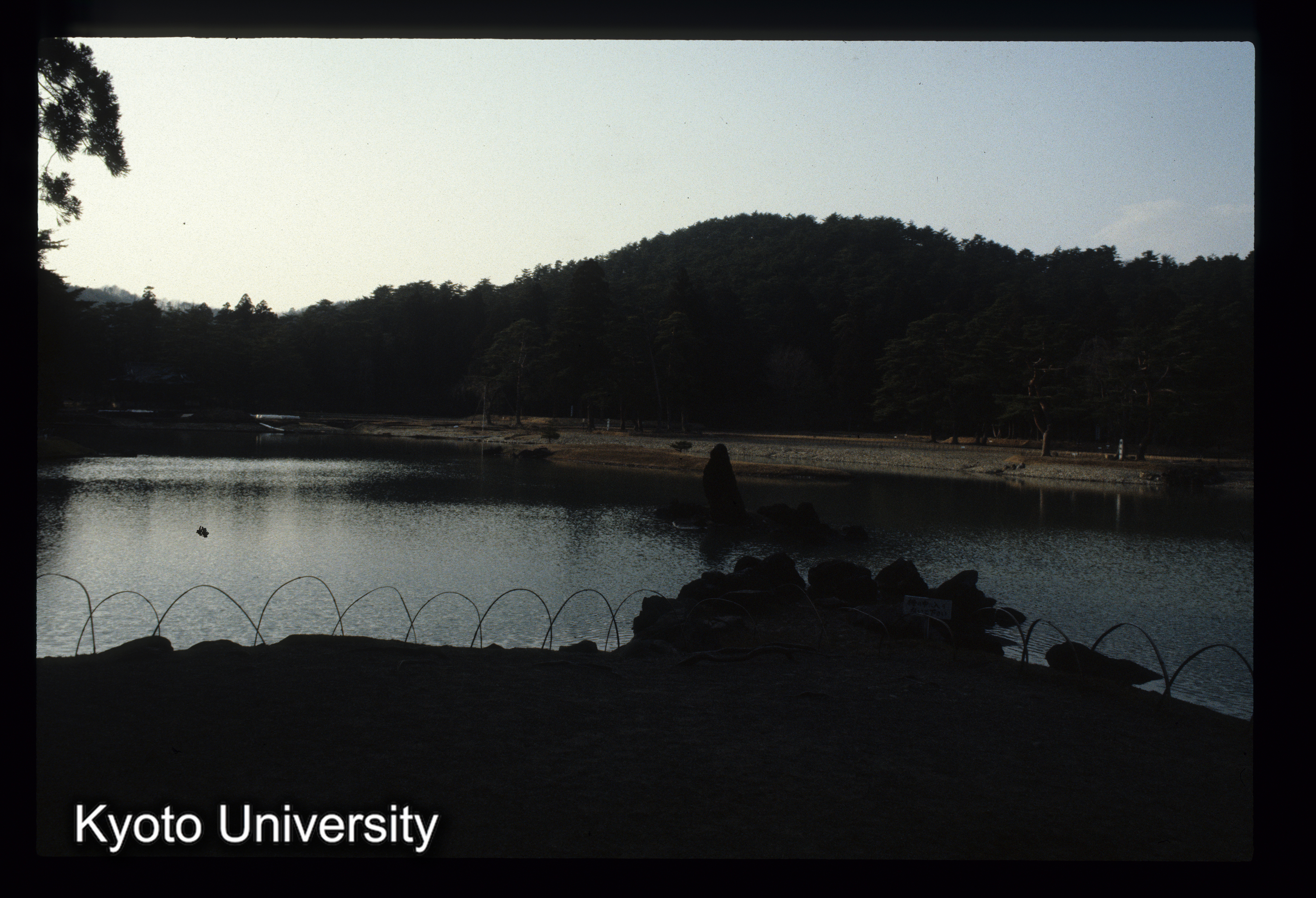 ［スライド］ (1)