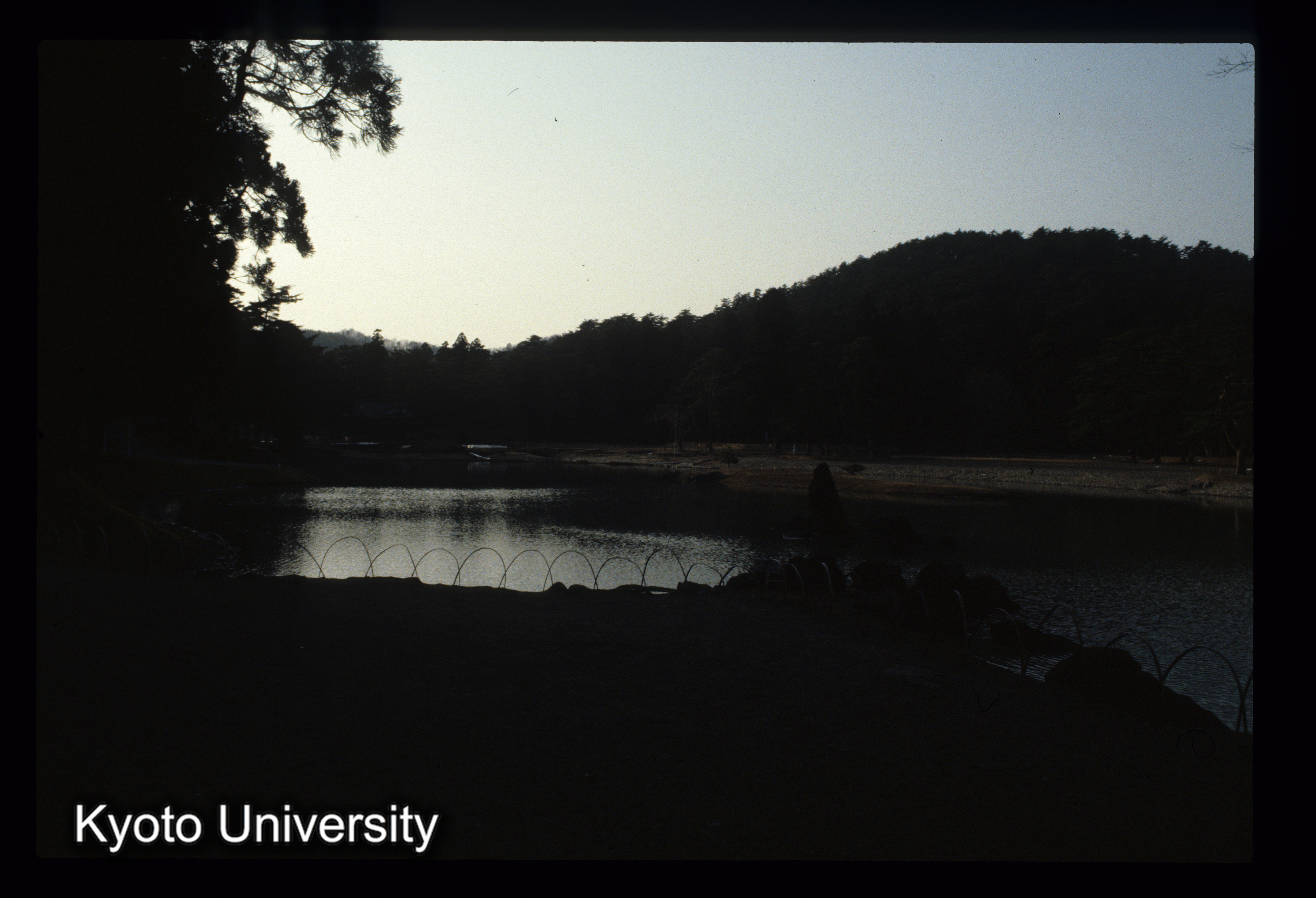 ［スライド］ (1)