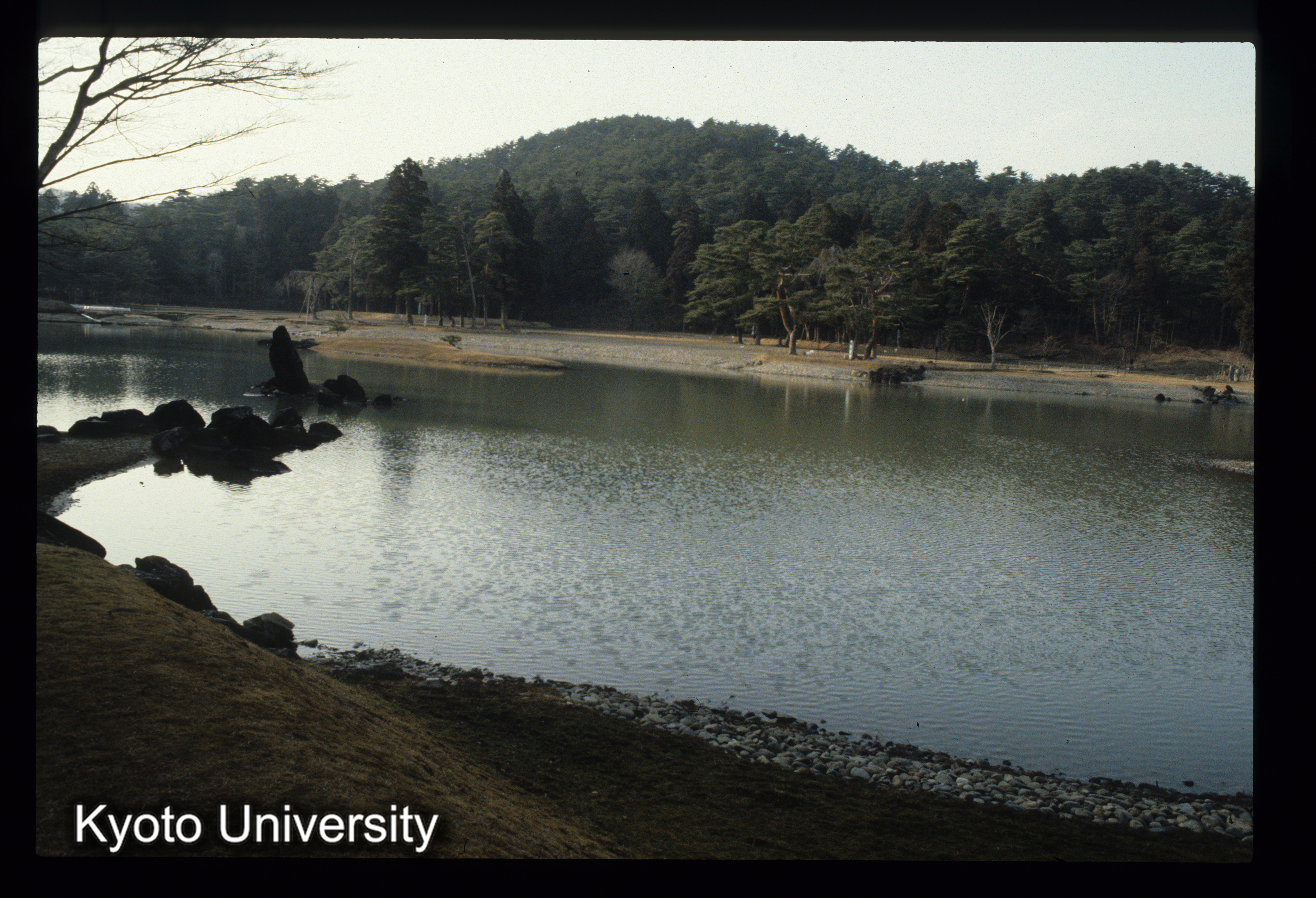 ［スライド］ (1)