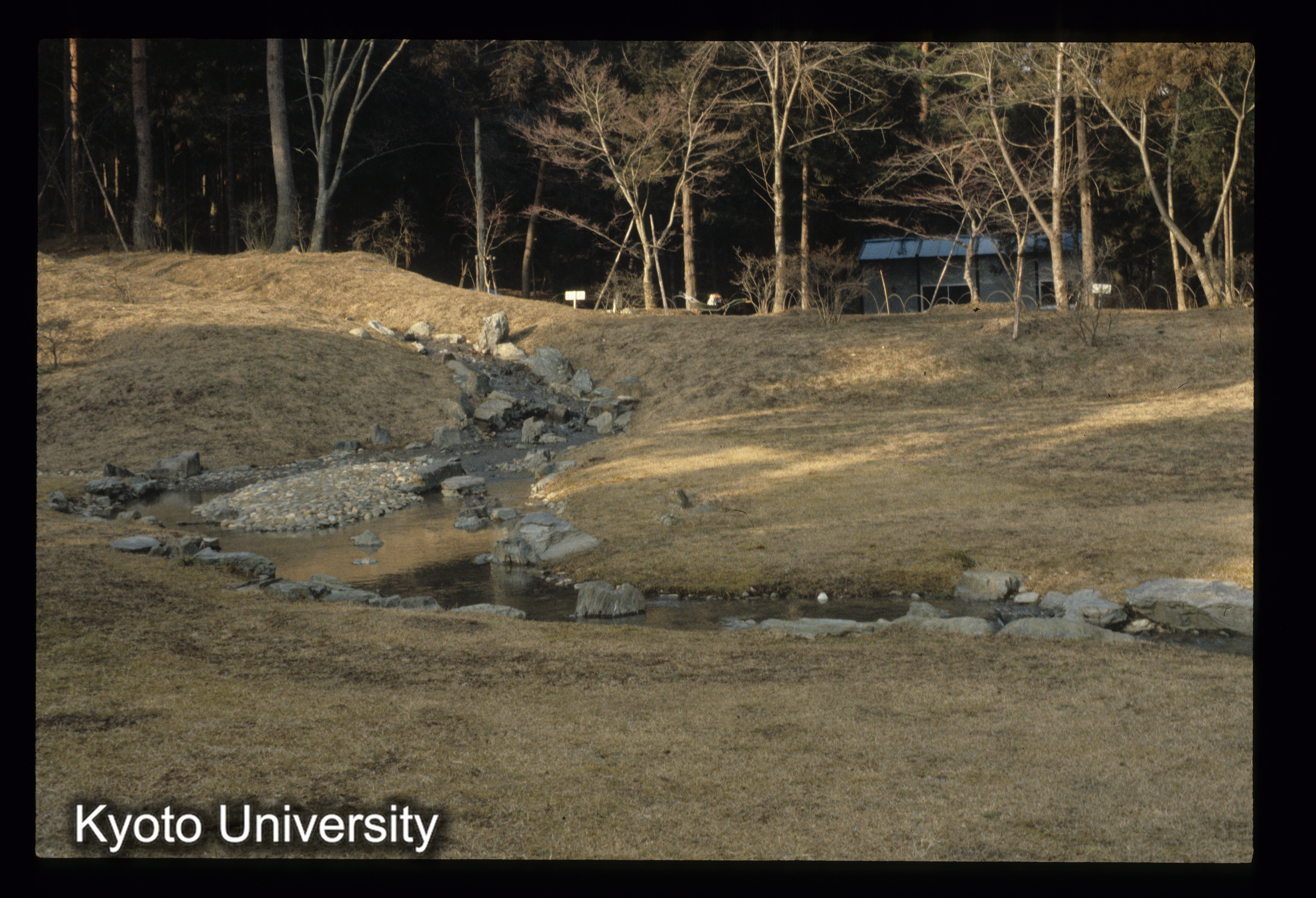 ［スライド］ (1)