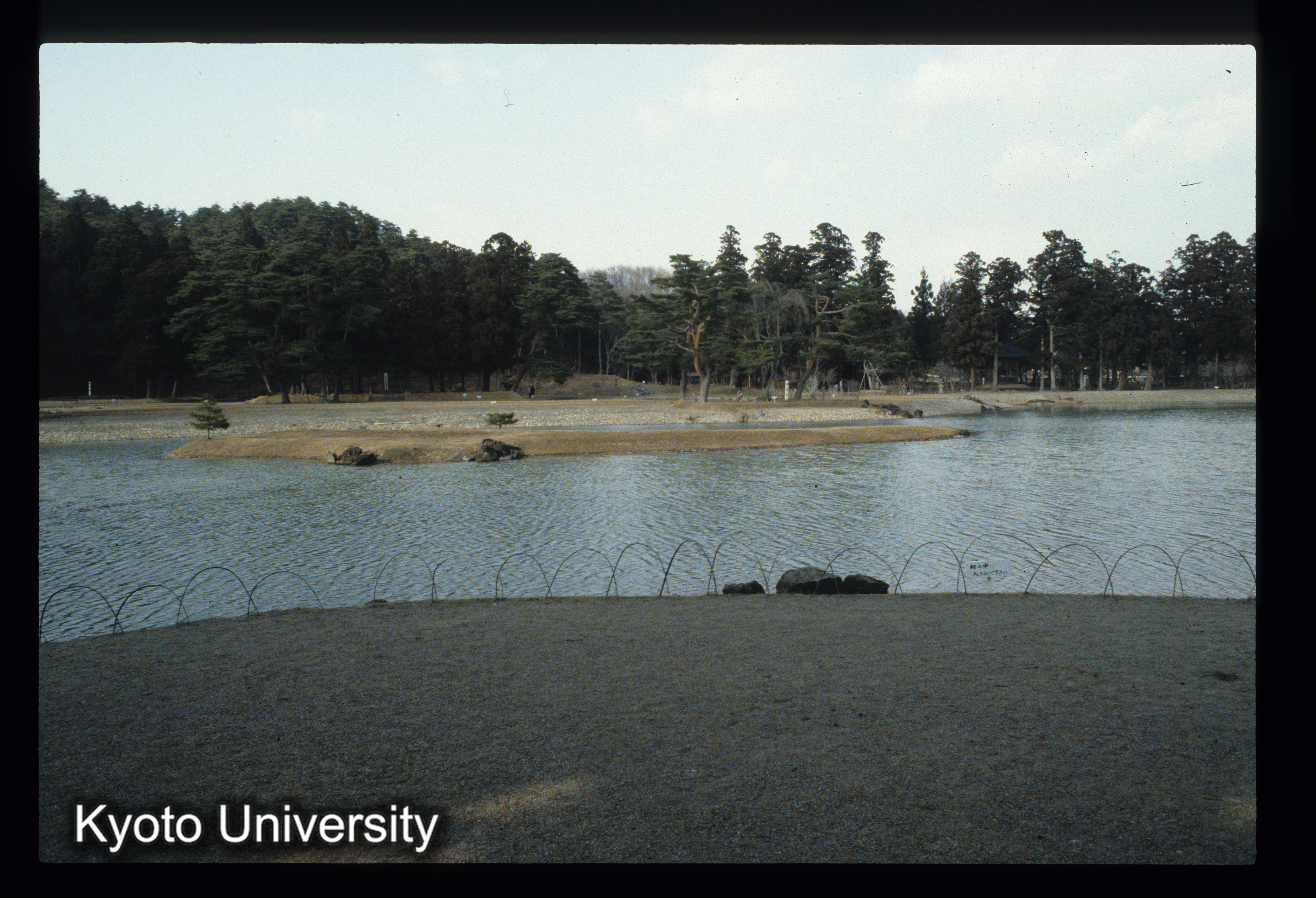 毛越寺 橋趾 (1)