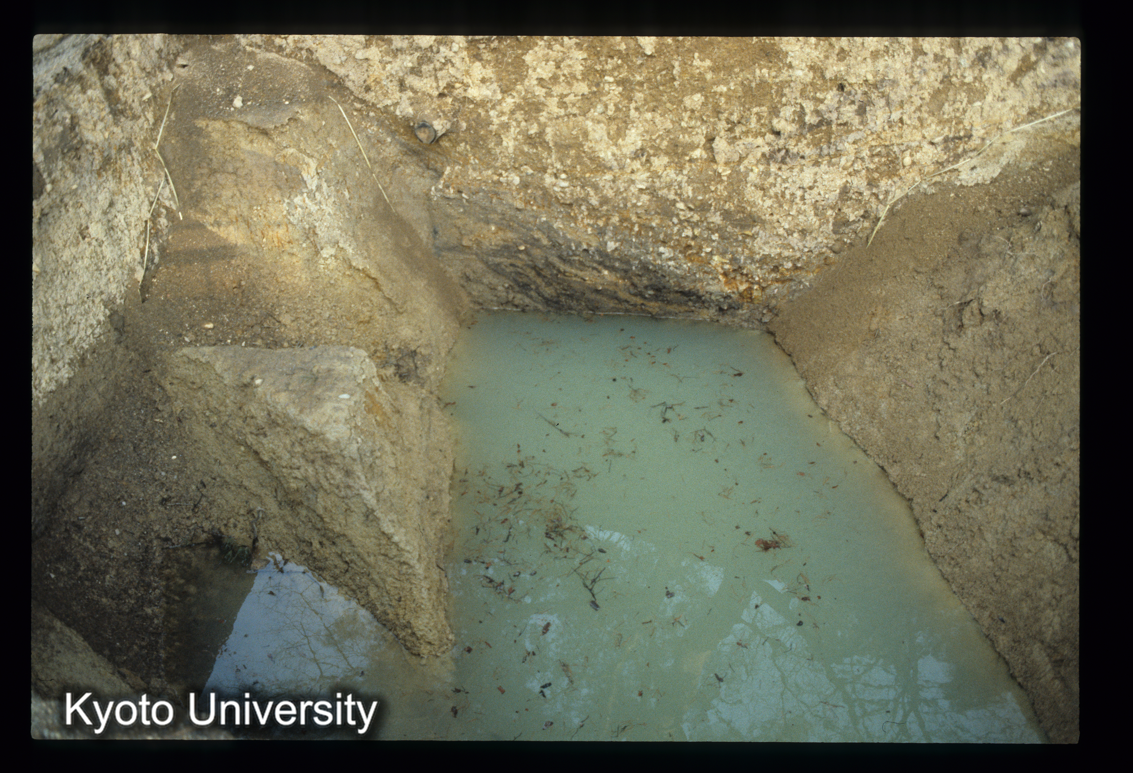 ［スライド］ (1)