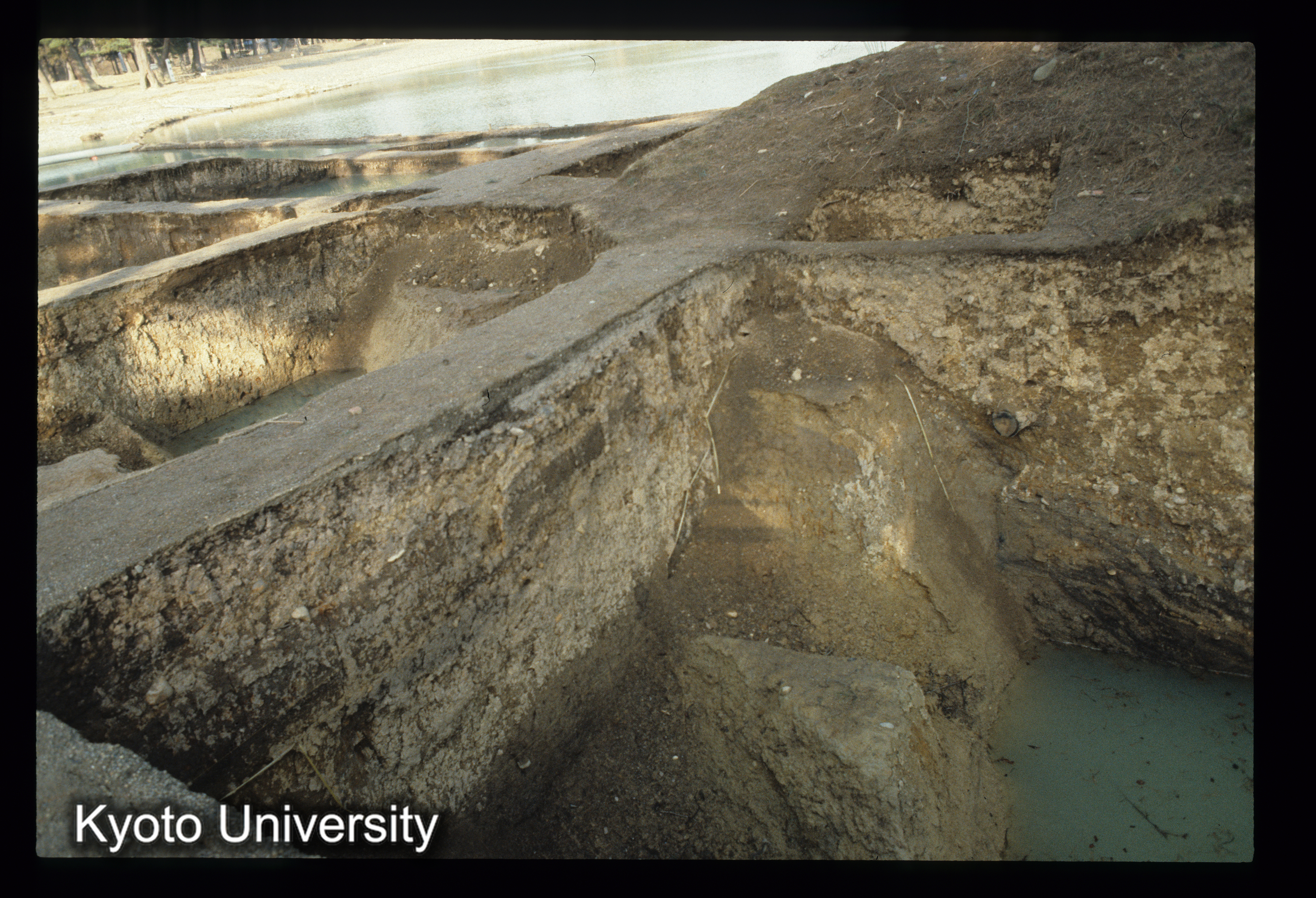 ［スライド］ (1)