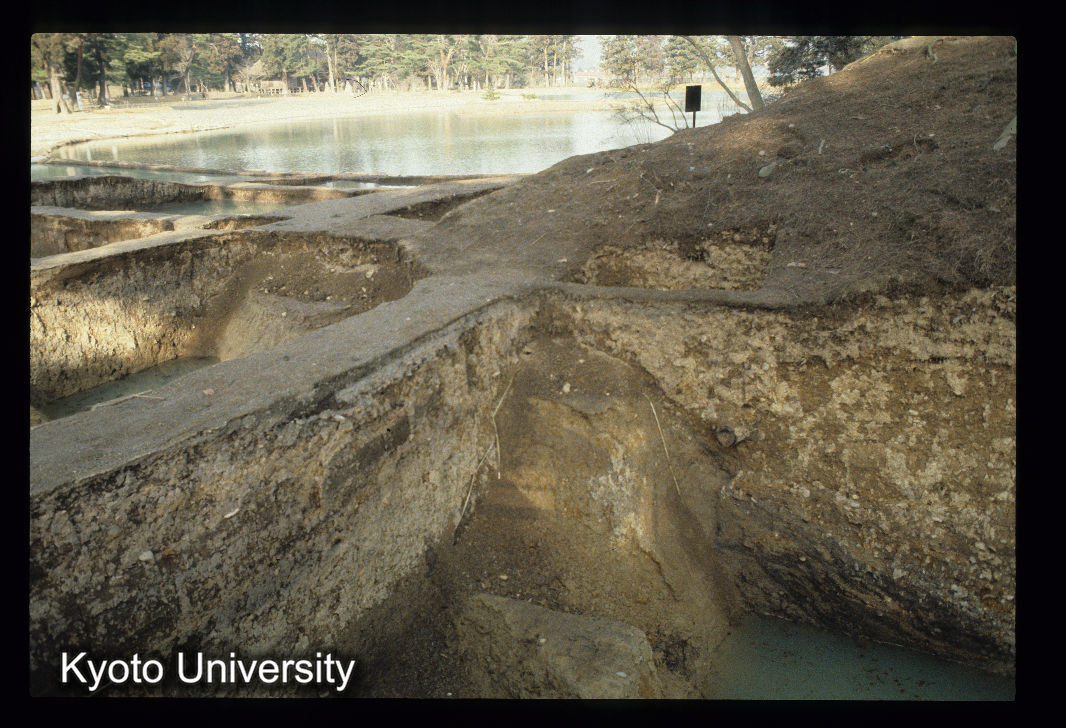 ［スライド］ (1)