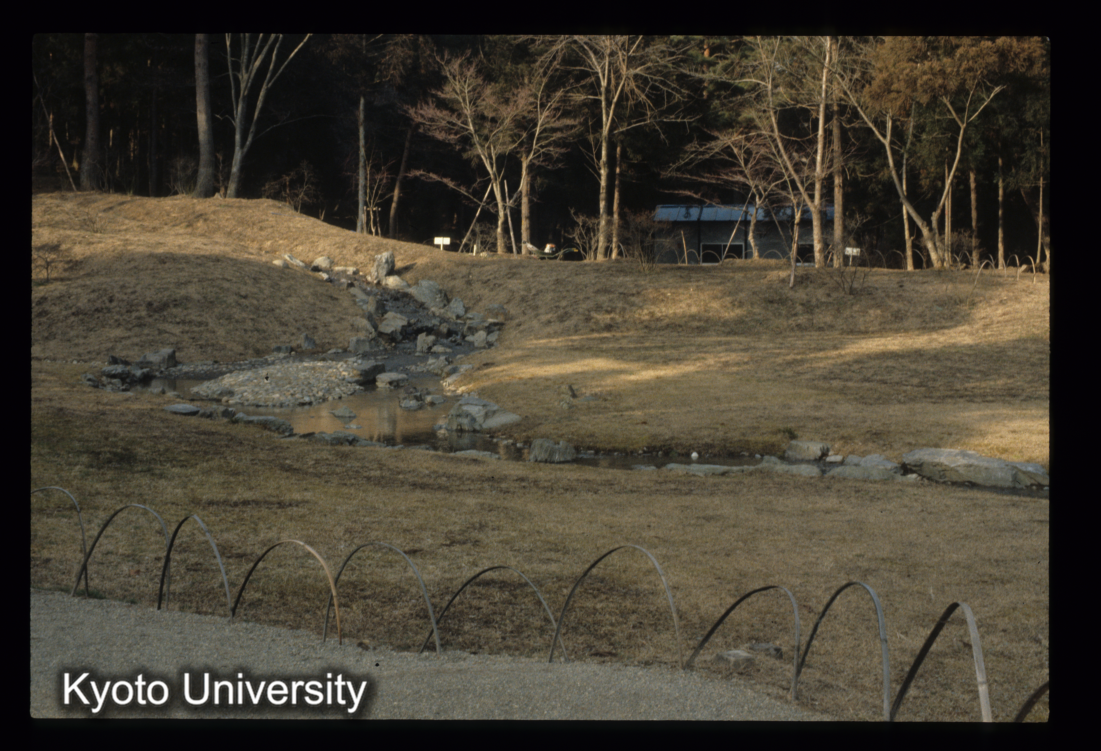 ［スライド］ (1)