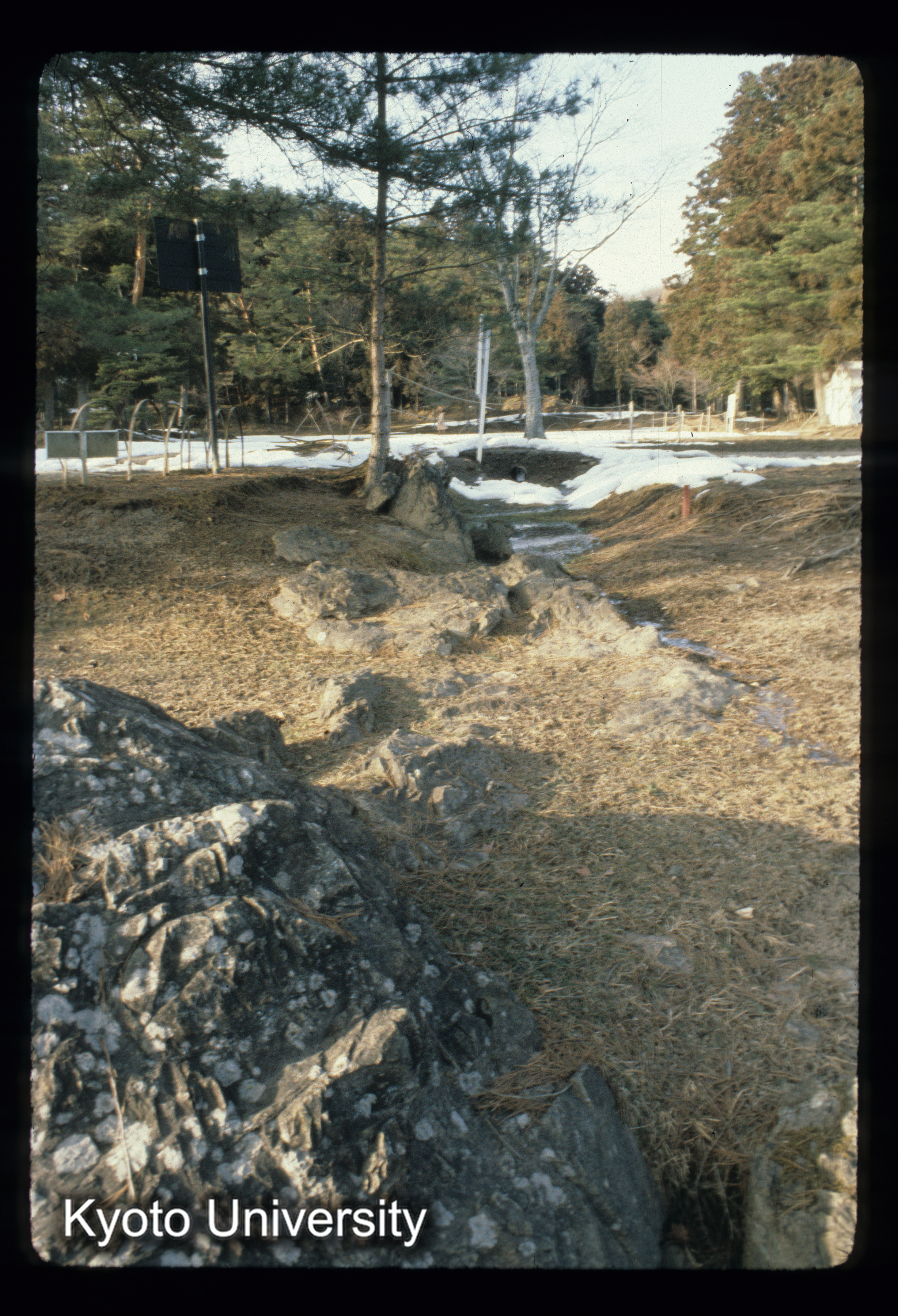 ［スライド］ (1)