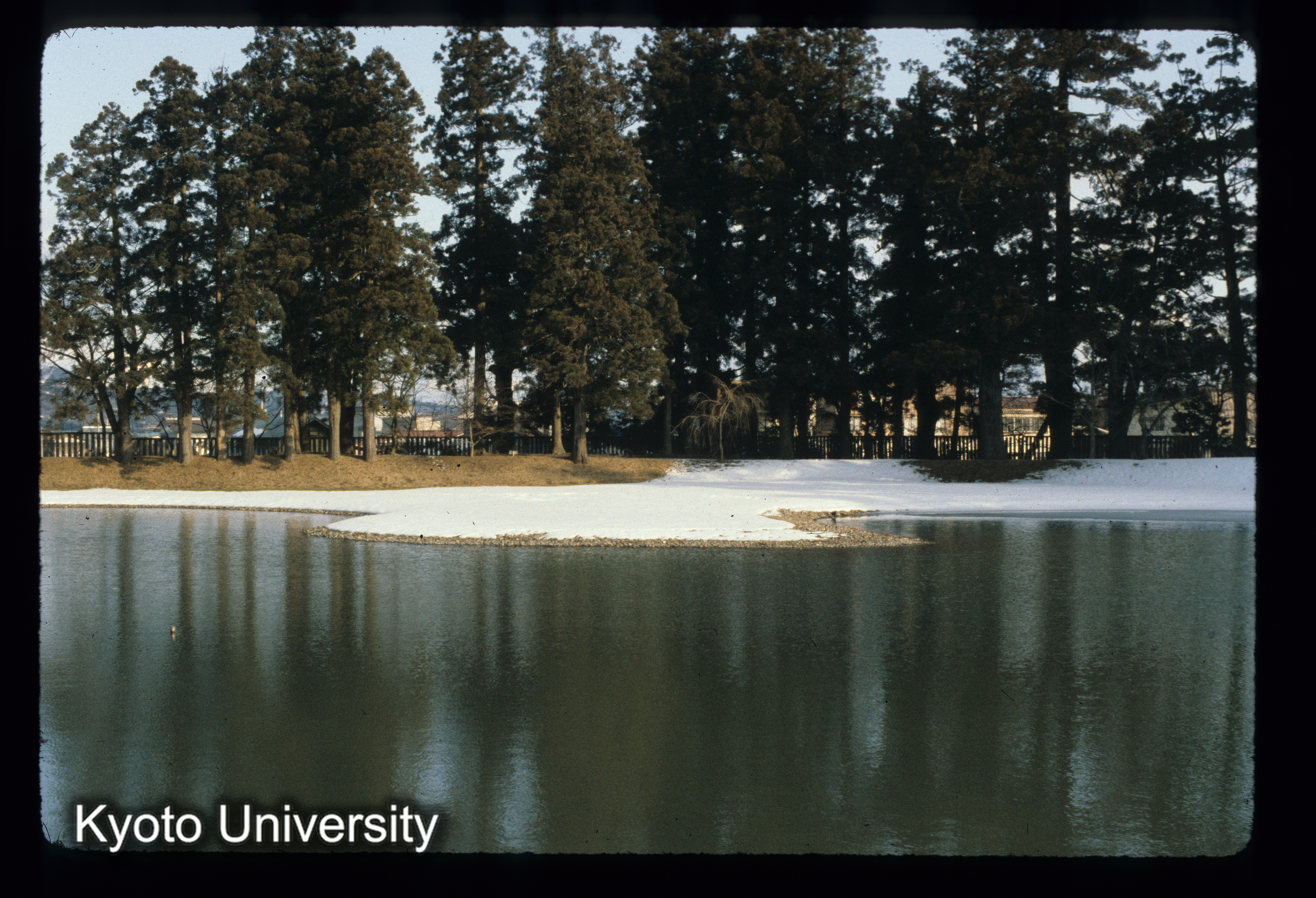 ［スライド］ (1)