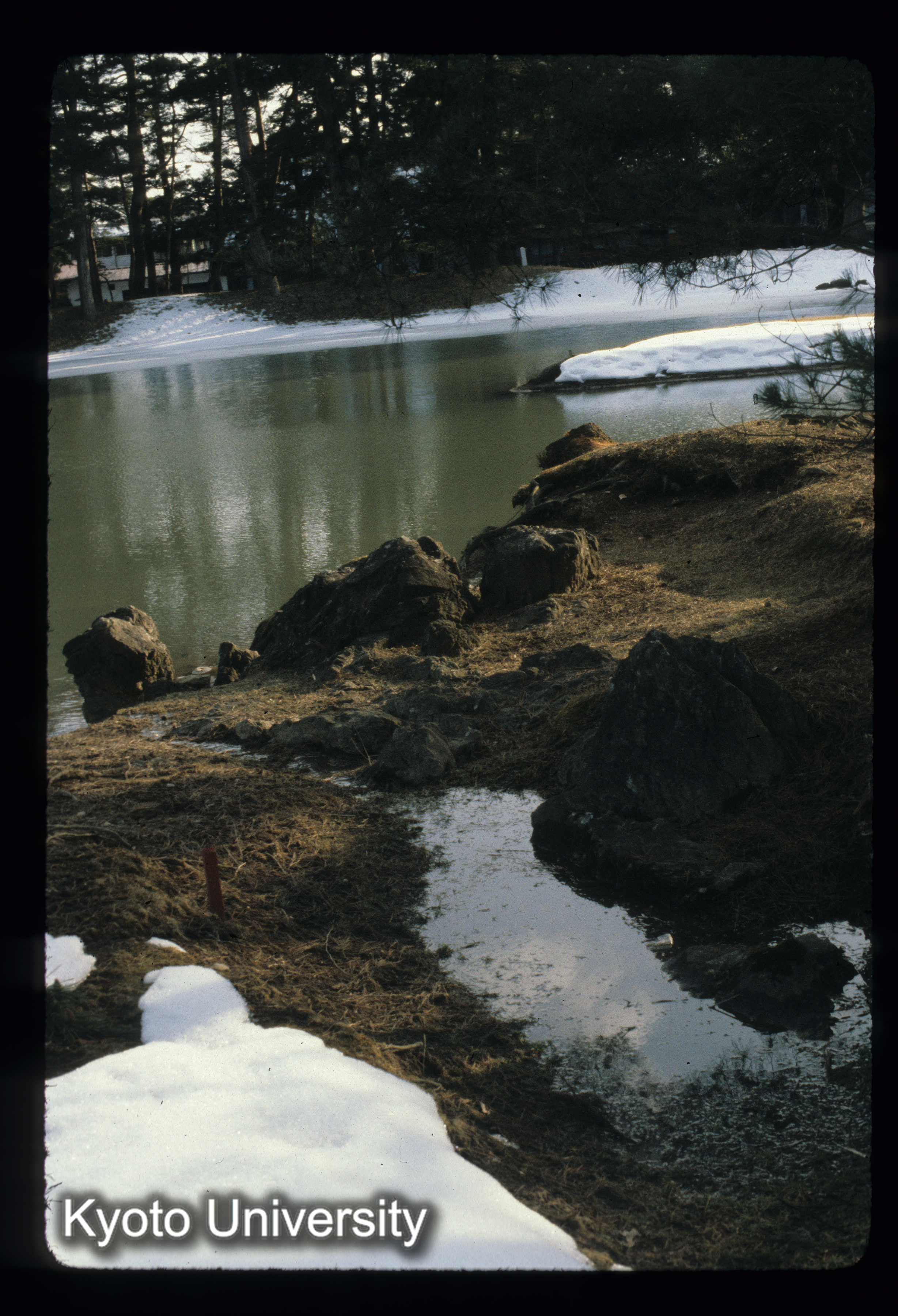 ［スライド］ (1)