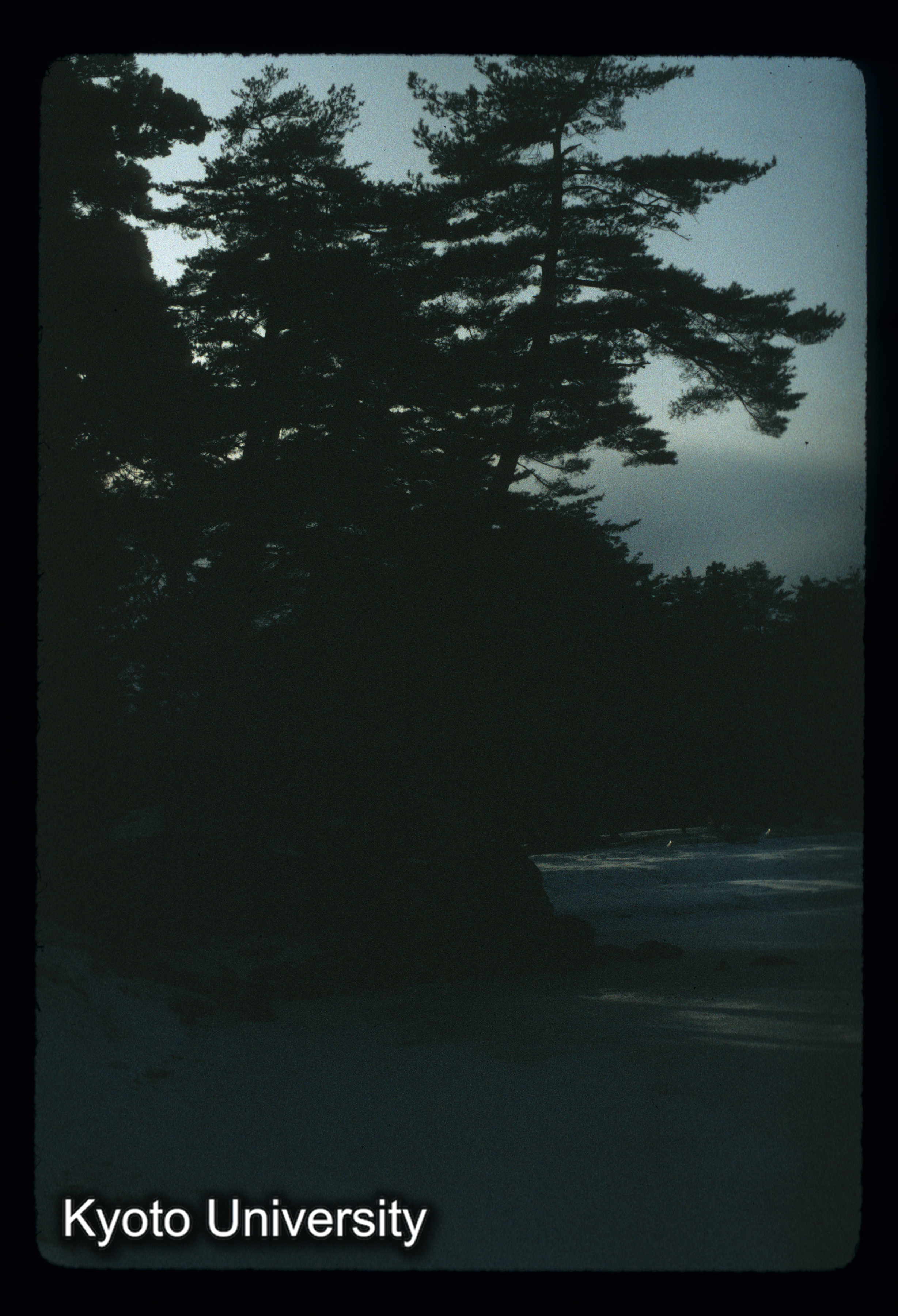 ［スライド］ (1)