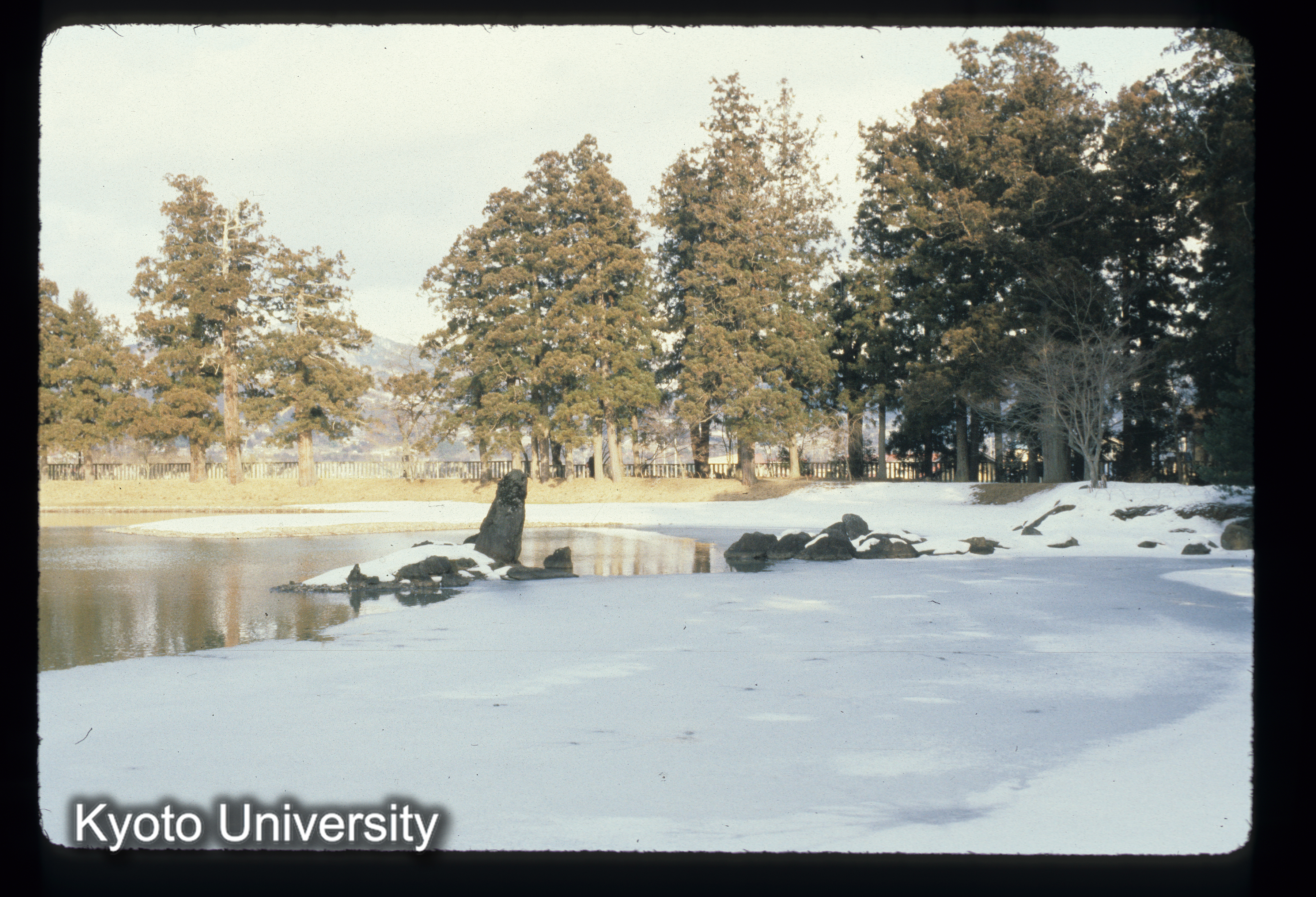 ［スライド］ (1)