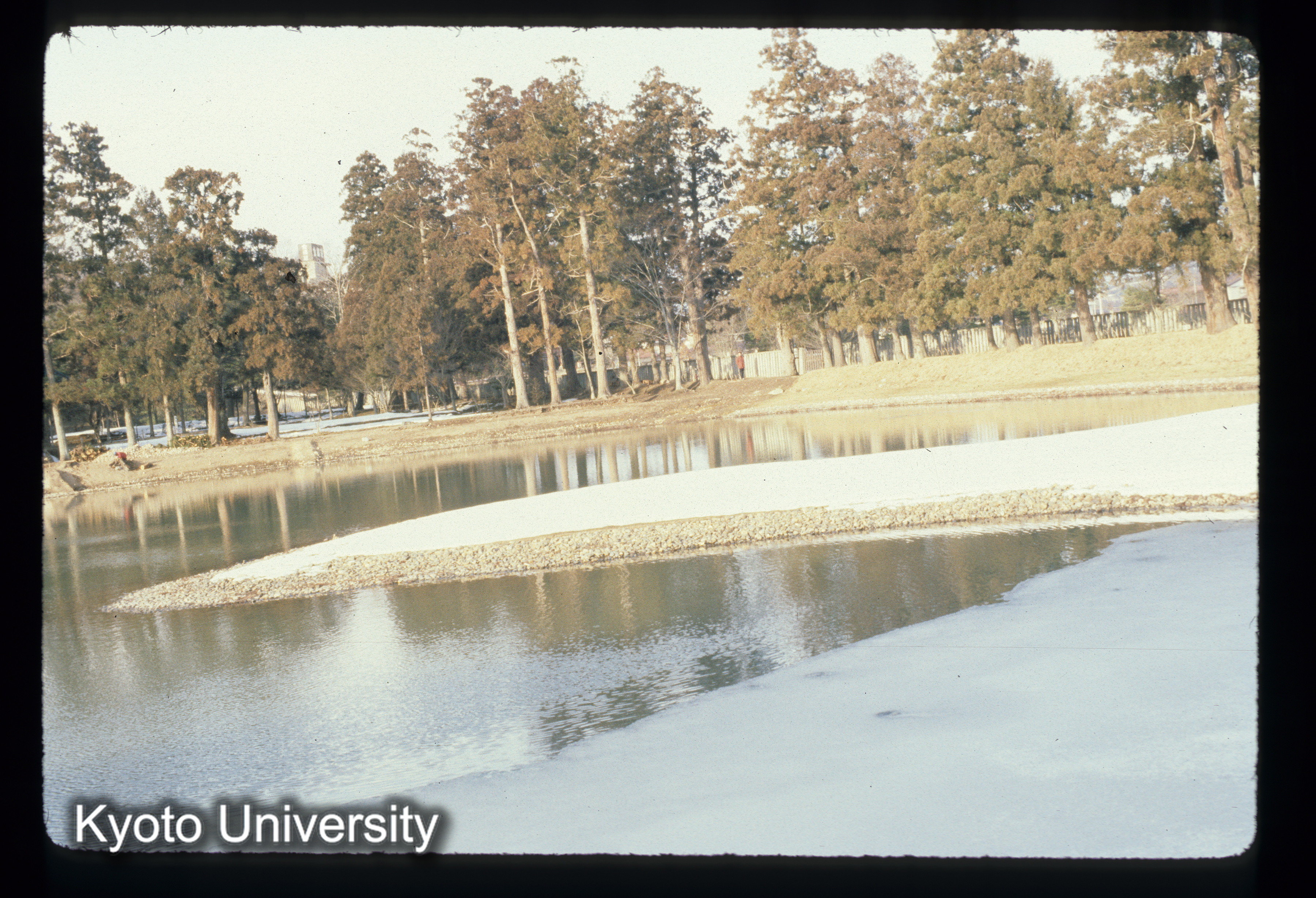 ［スライド］ (1)