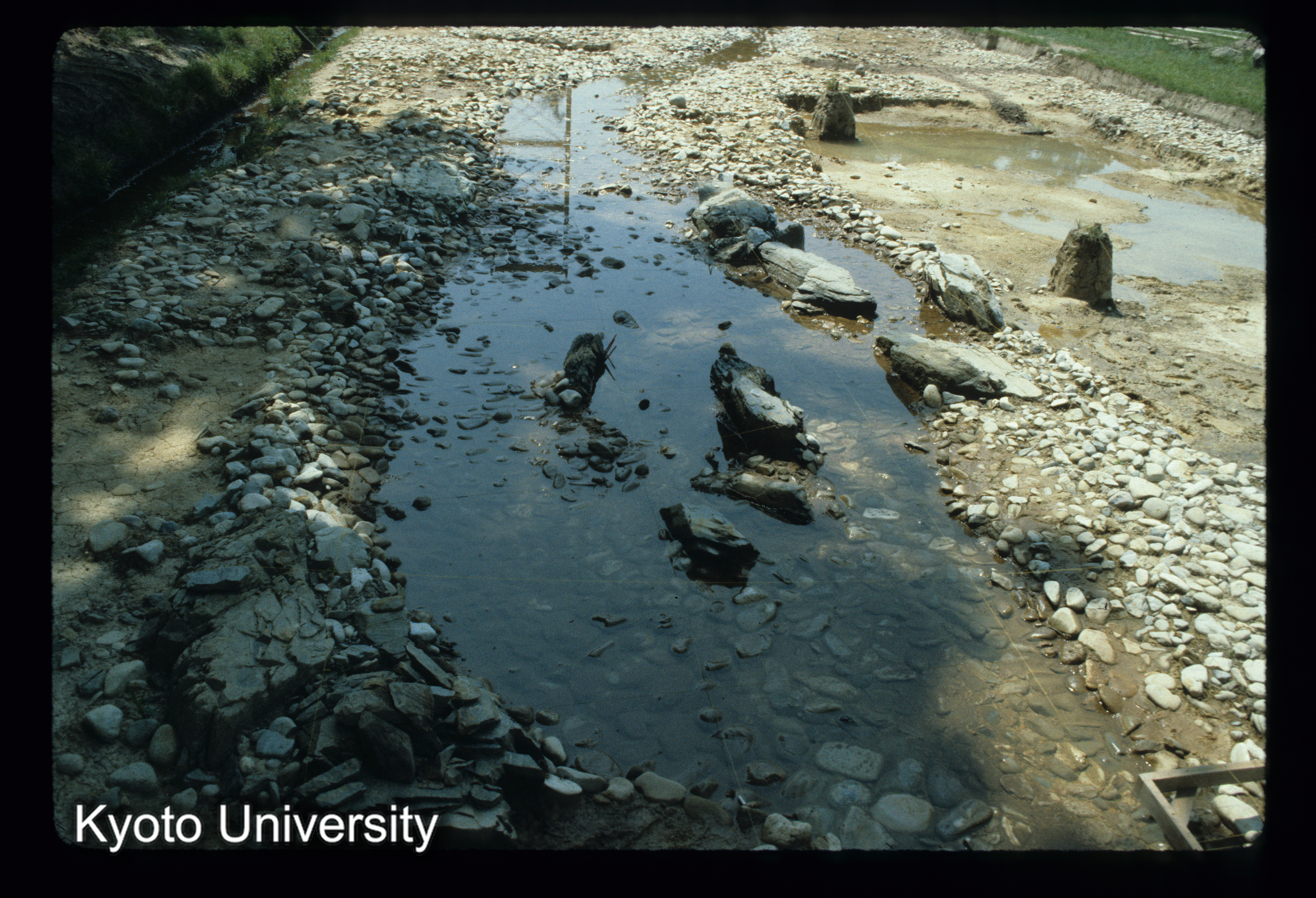 ［スライド］ (1)