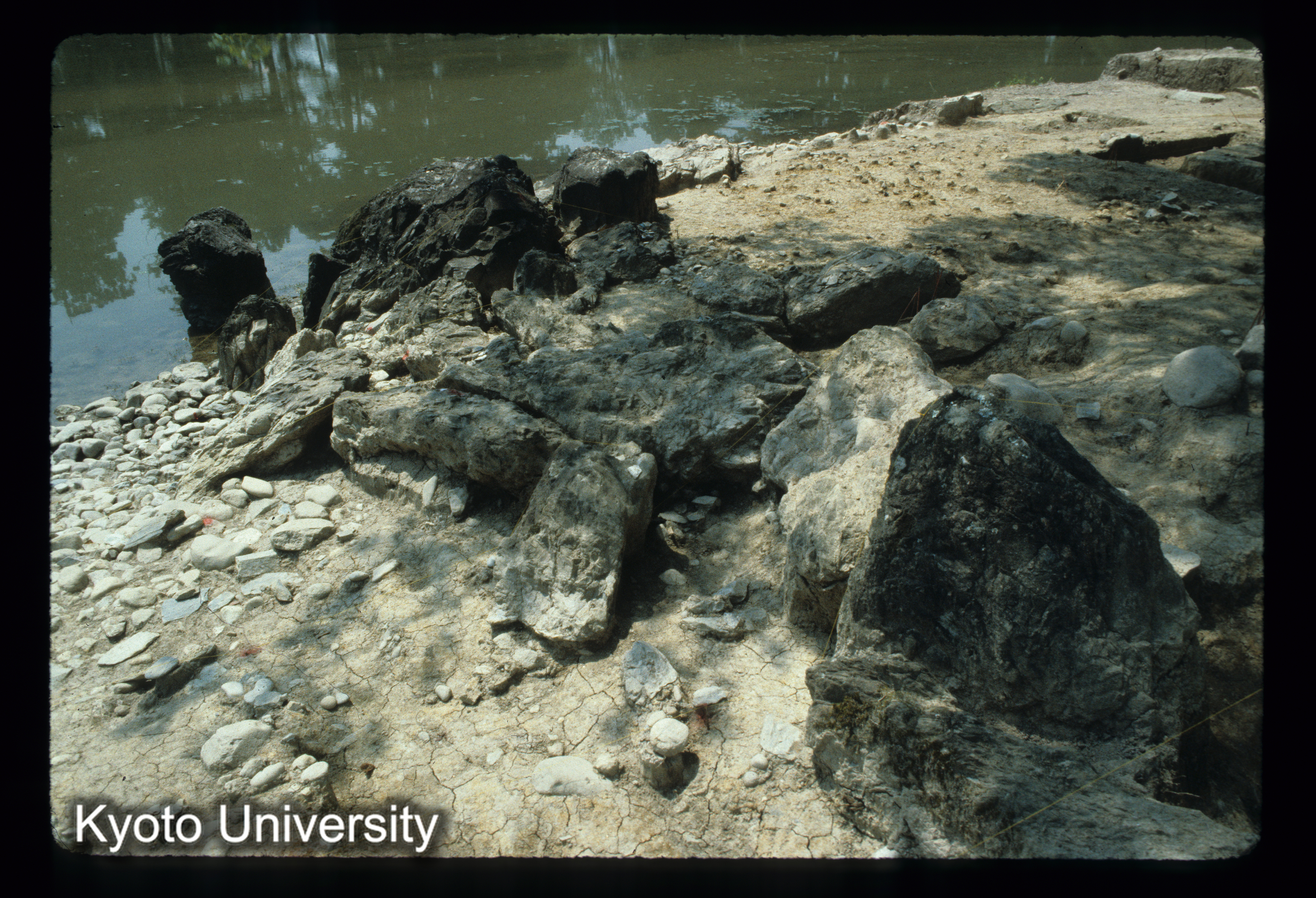 ［スライド］ (1)