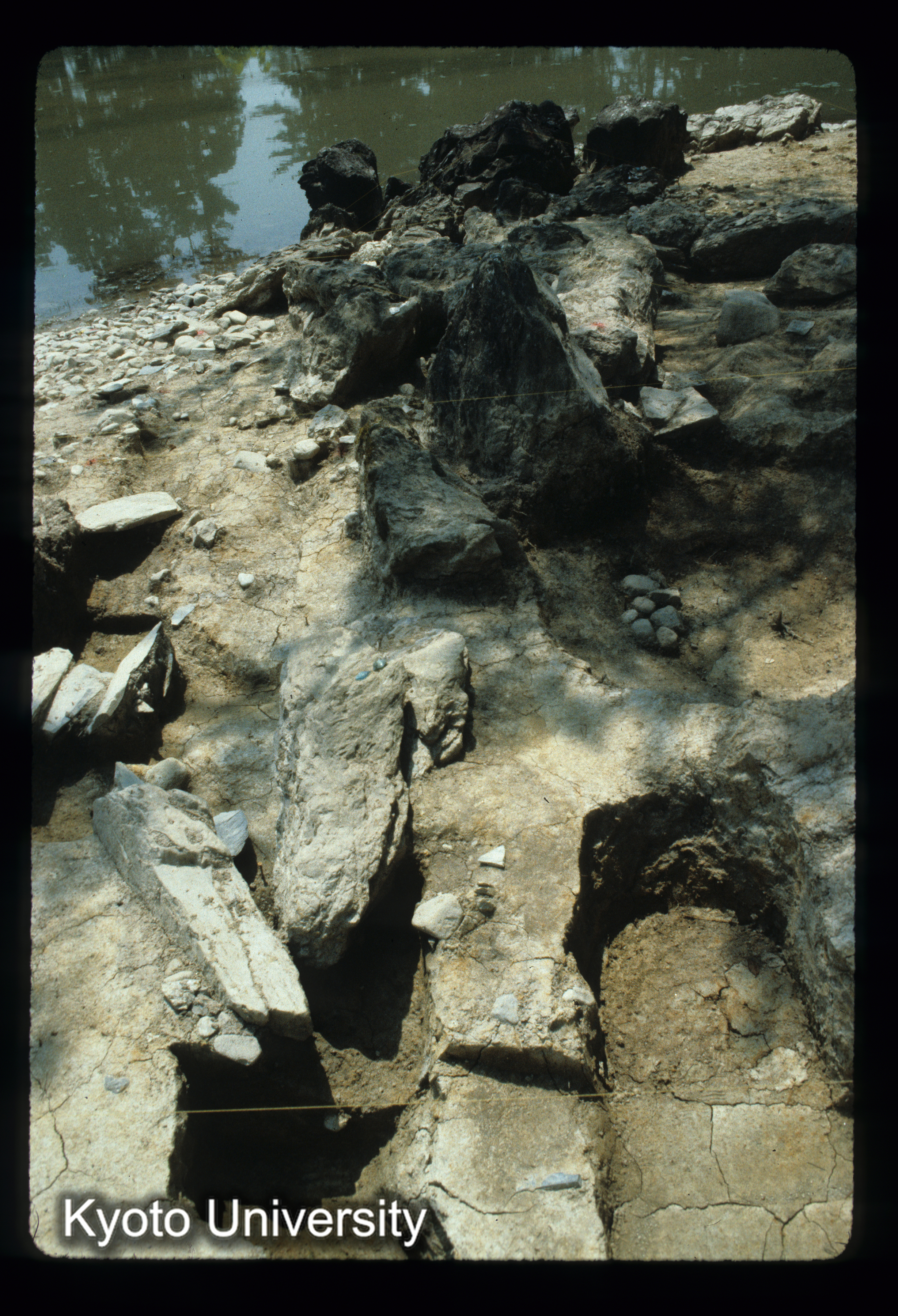 ［スライド］ (1)