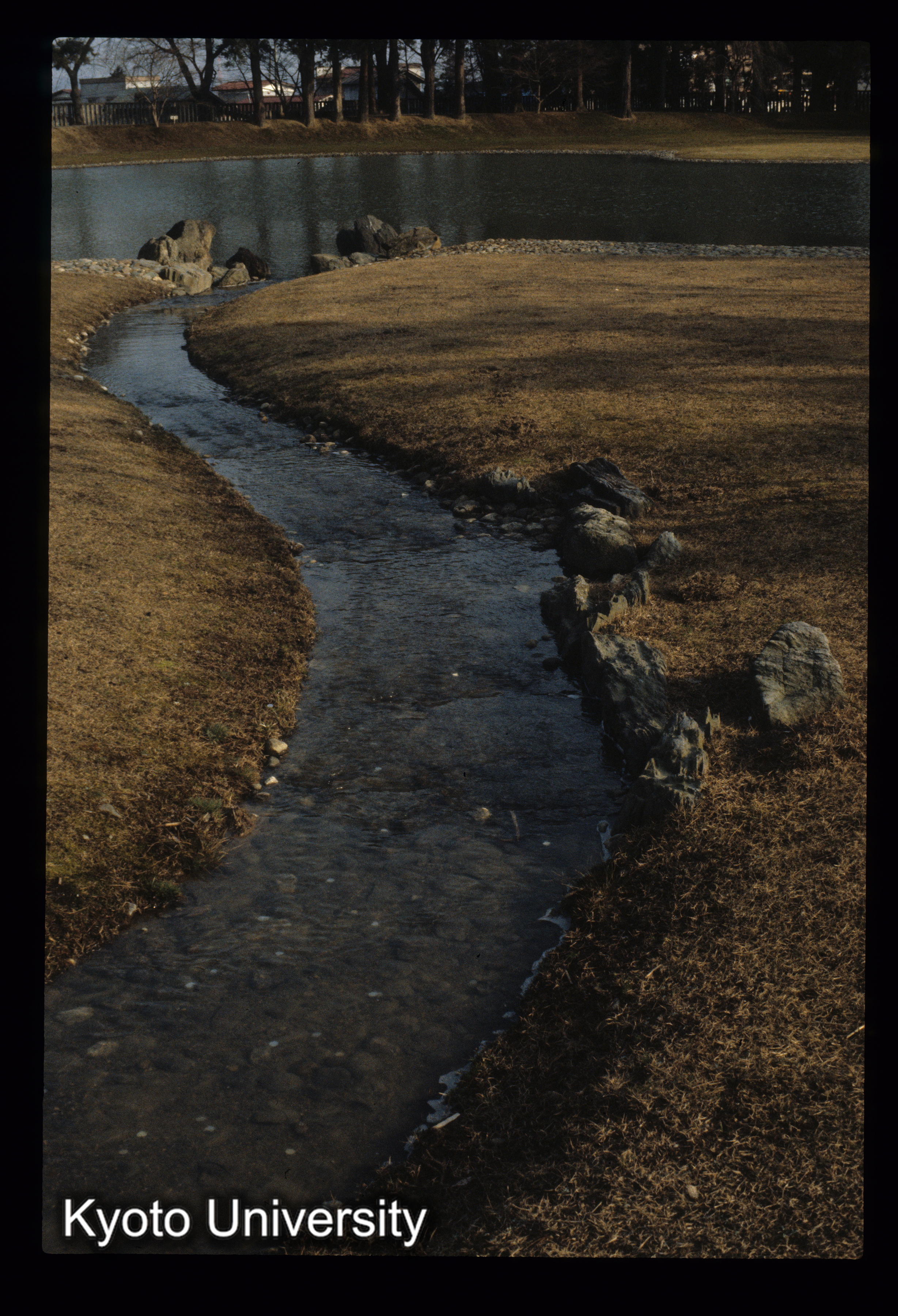 毛越寺 遣水 (1)