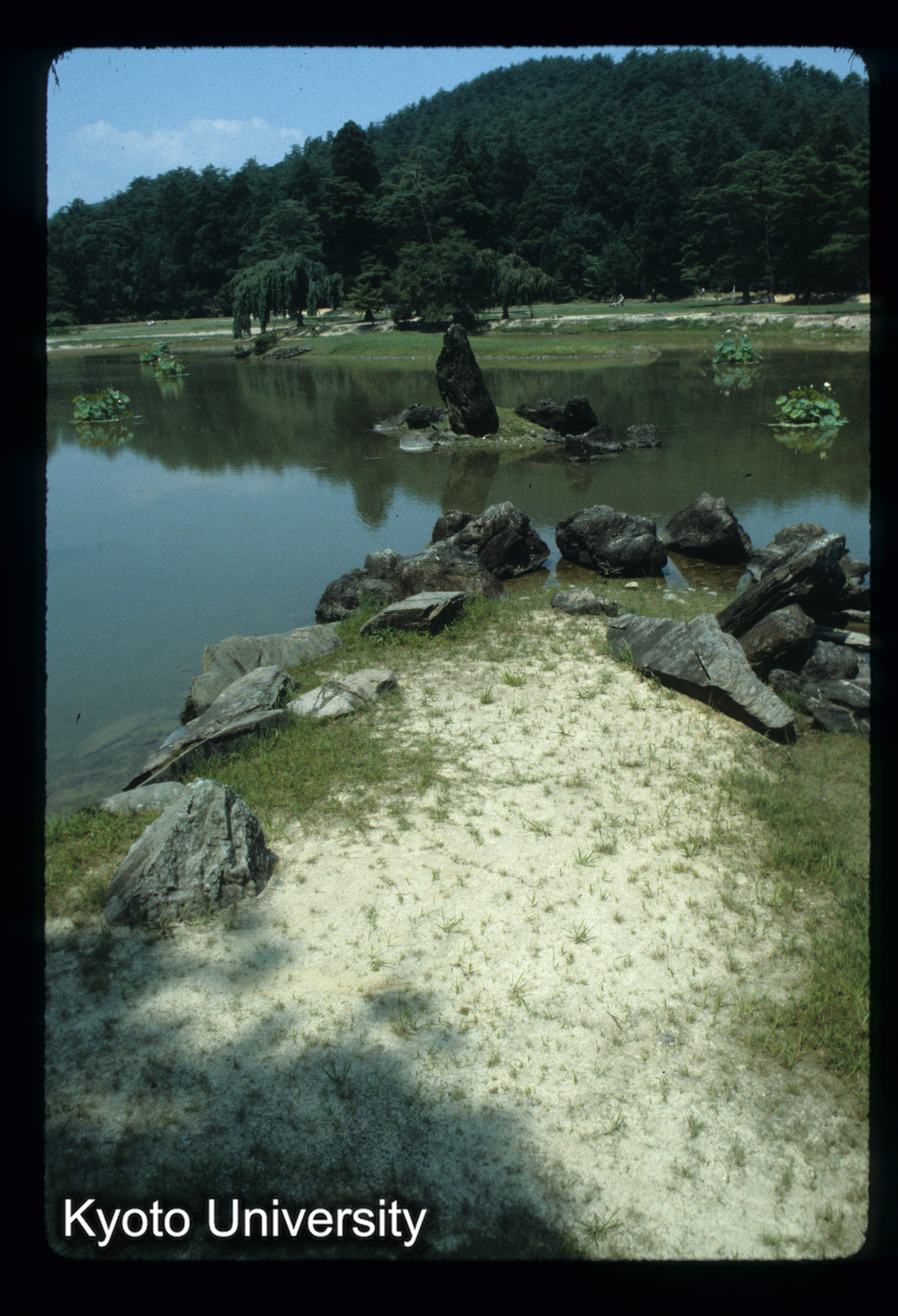 ［スライド］ (1)