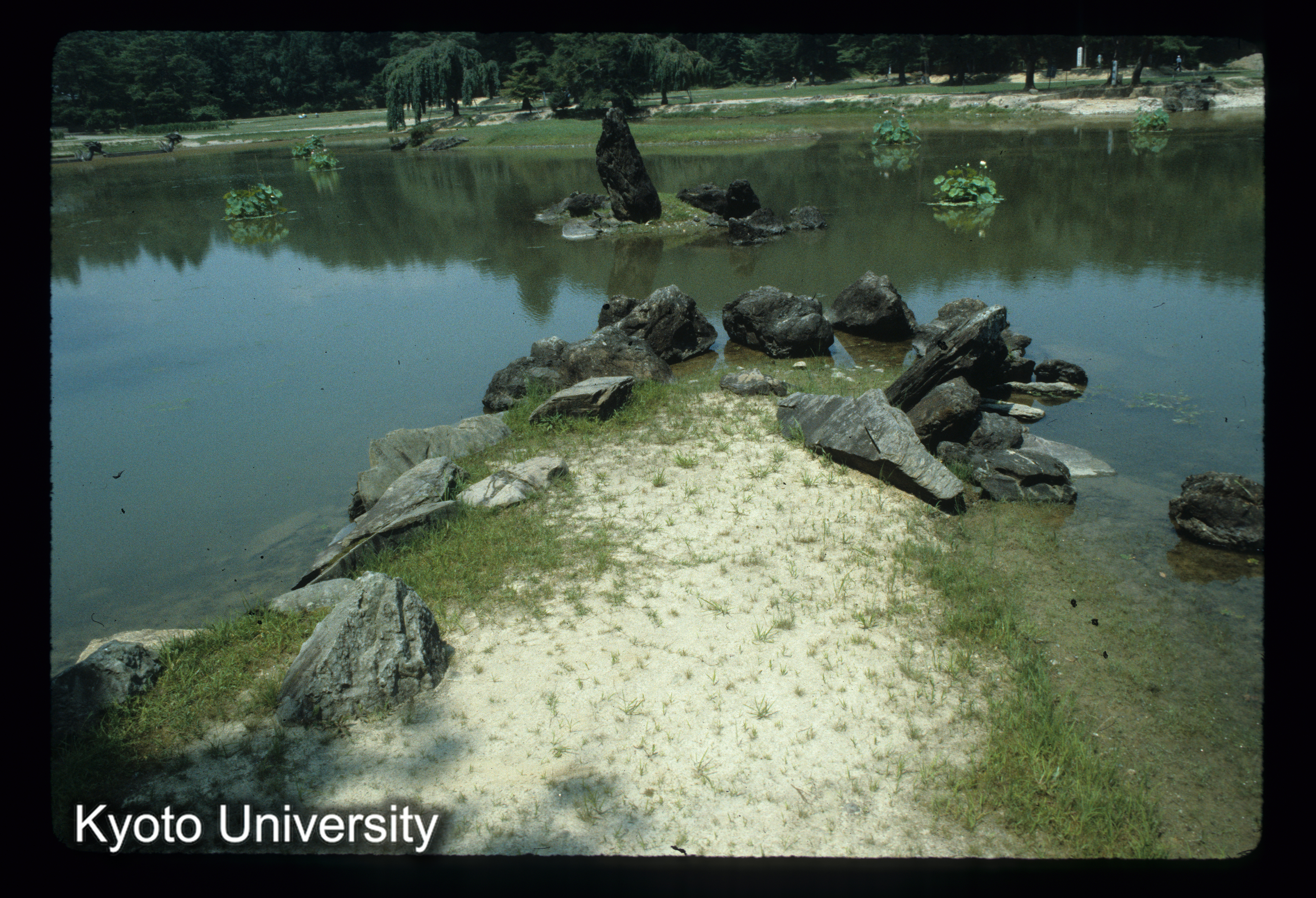 10_毛越寺 立石_㉓ (1)