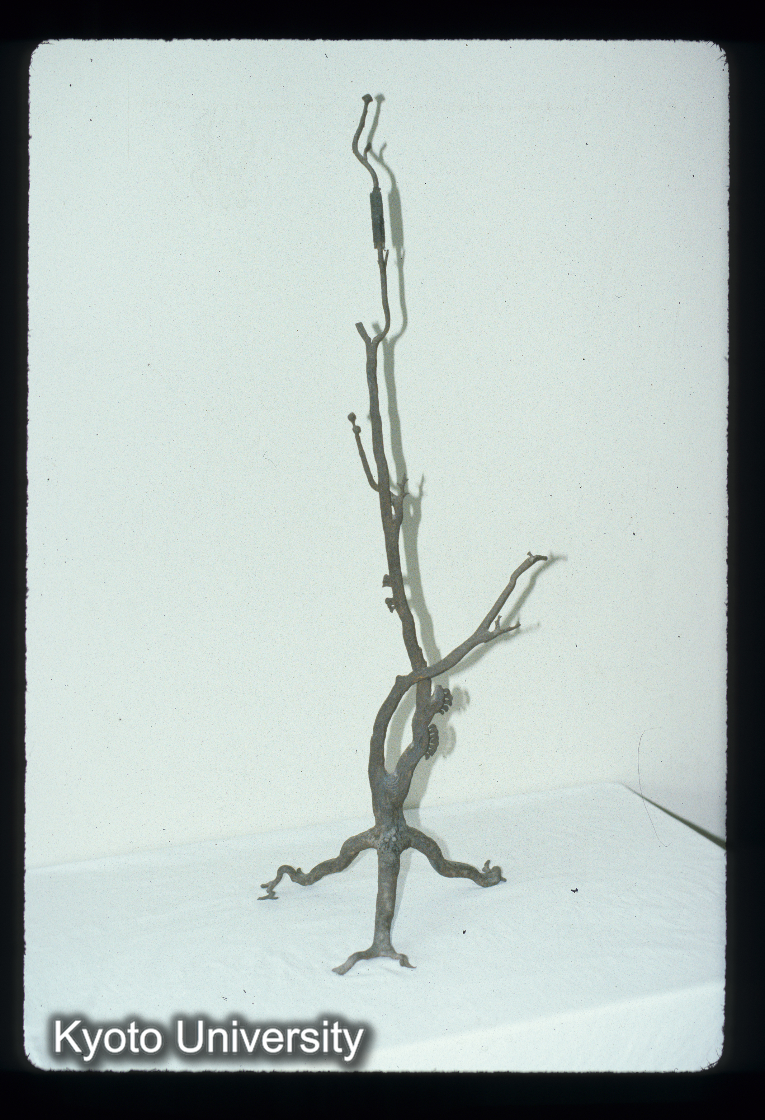 ［スライド］ (1)