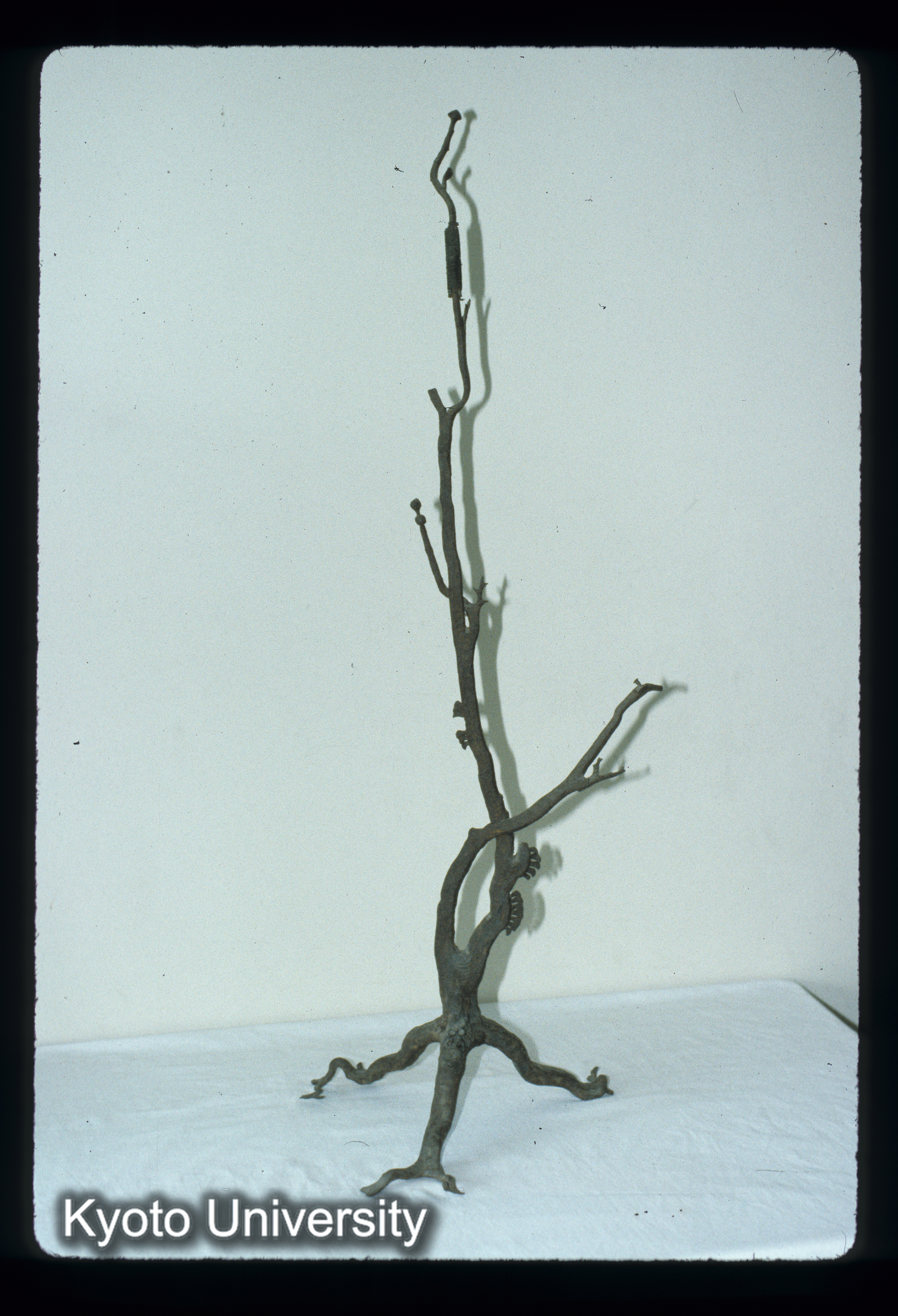 ［スライド］ (1)