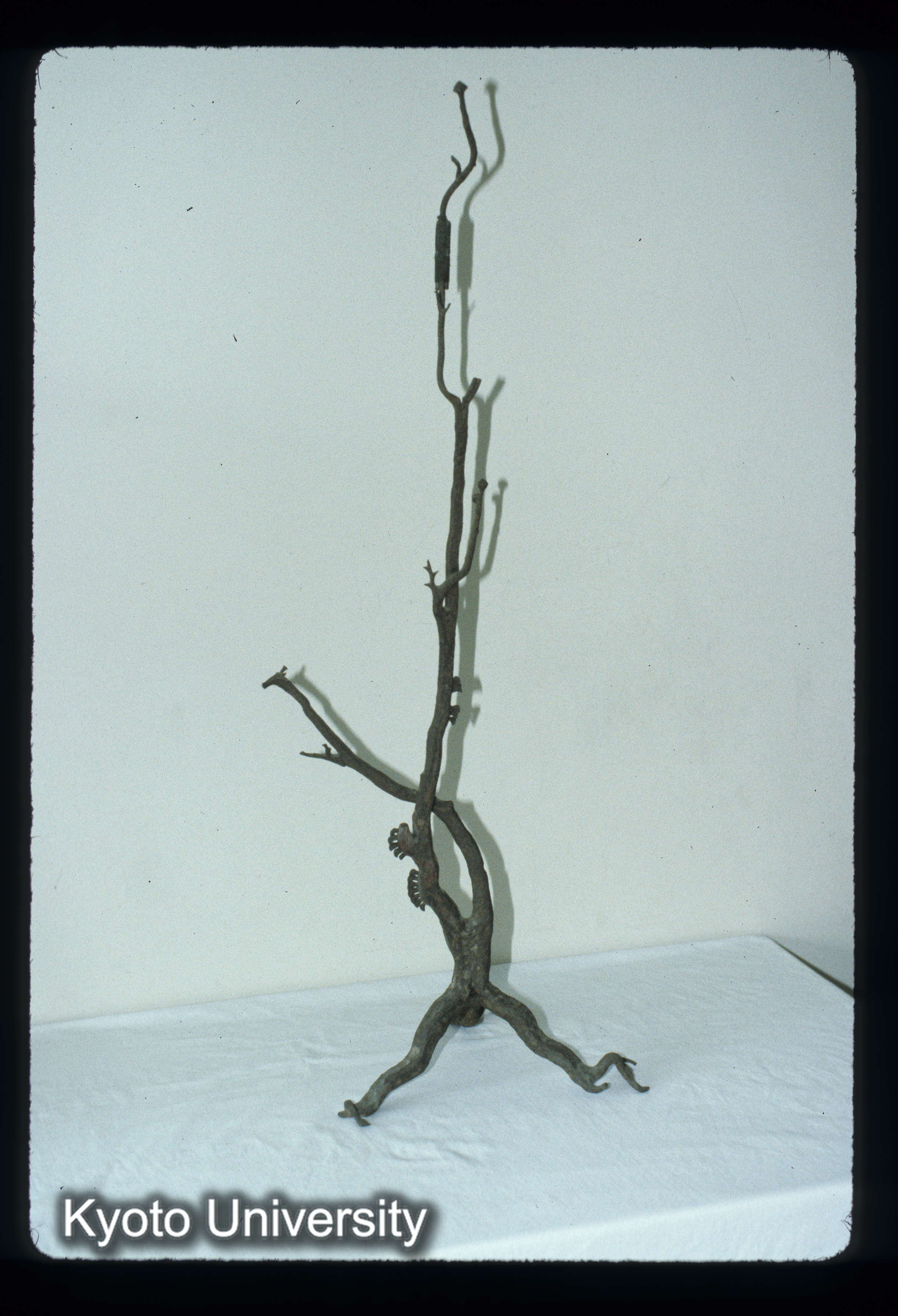 ［スライド］ (1)