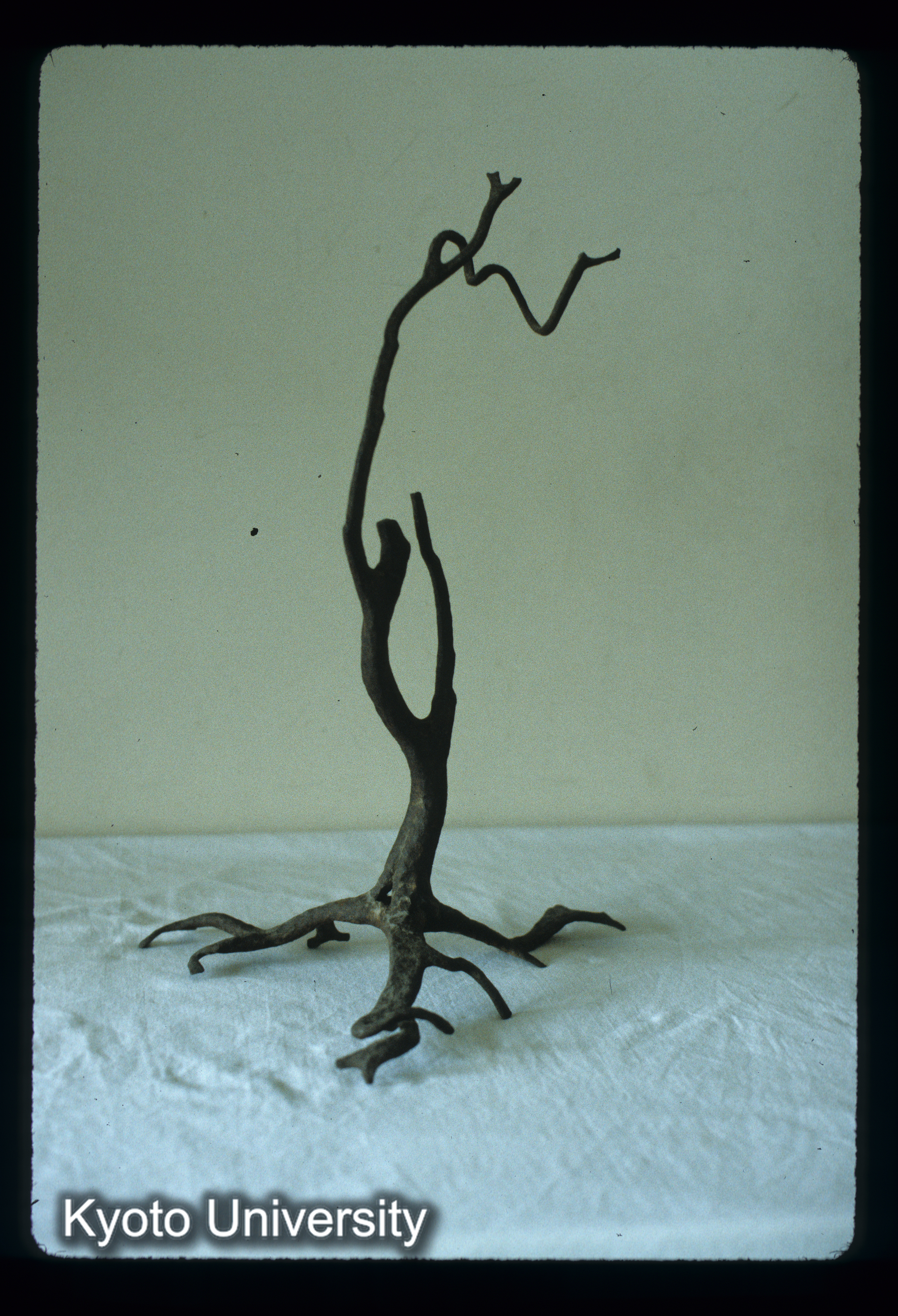 ［スライド］ (1)