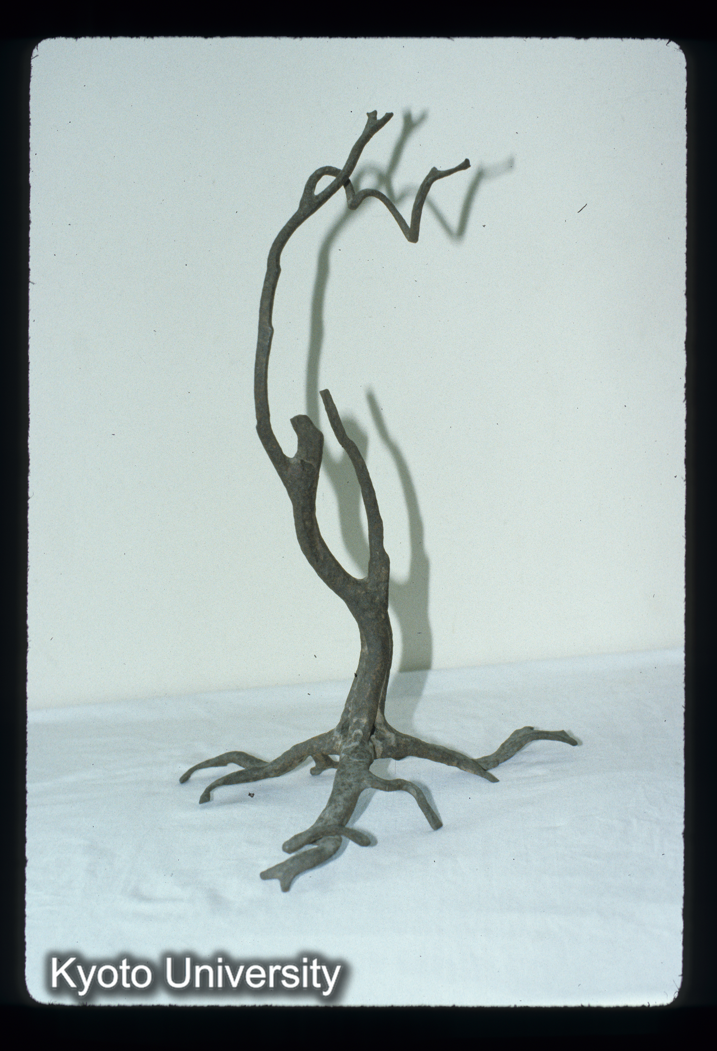 ［スライド］ (1)