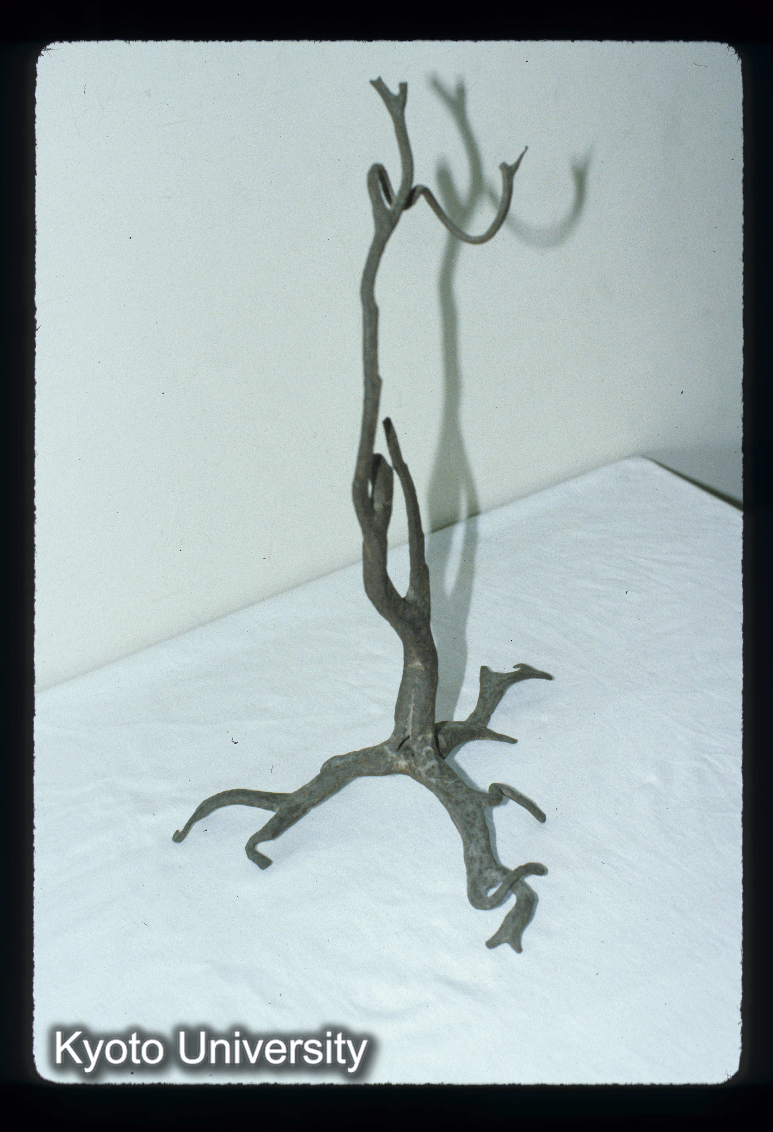 ［スライド］ (1)