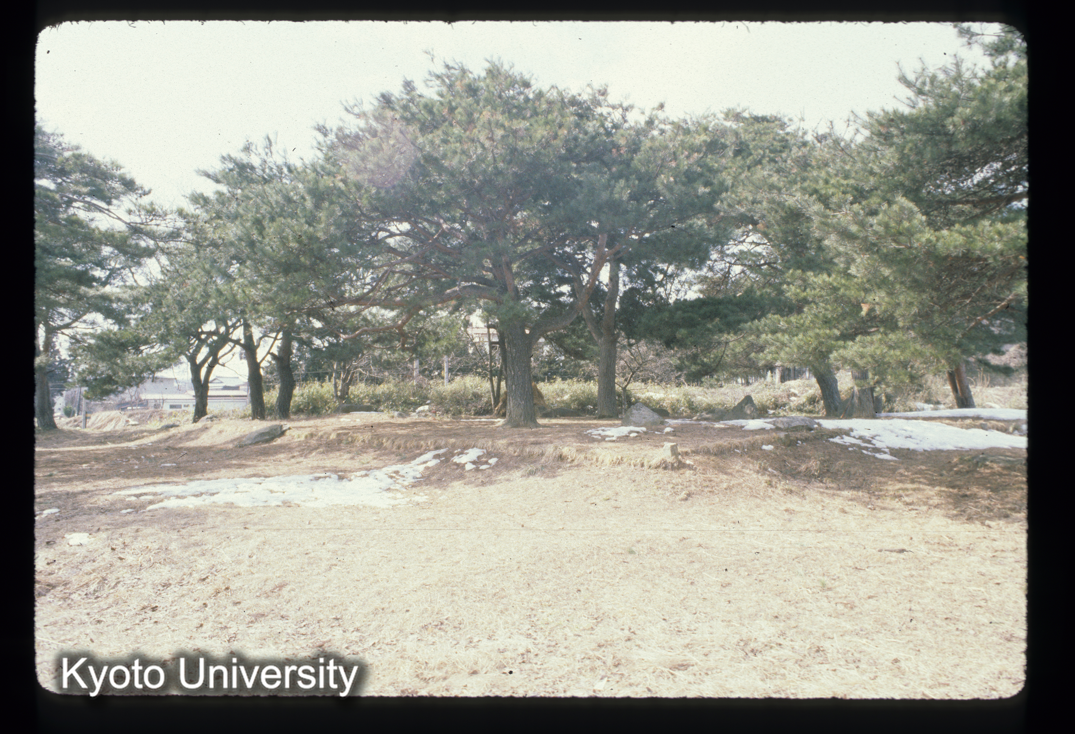 無量光院址_83.3 (1)