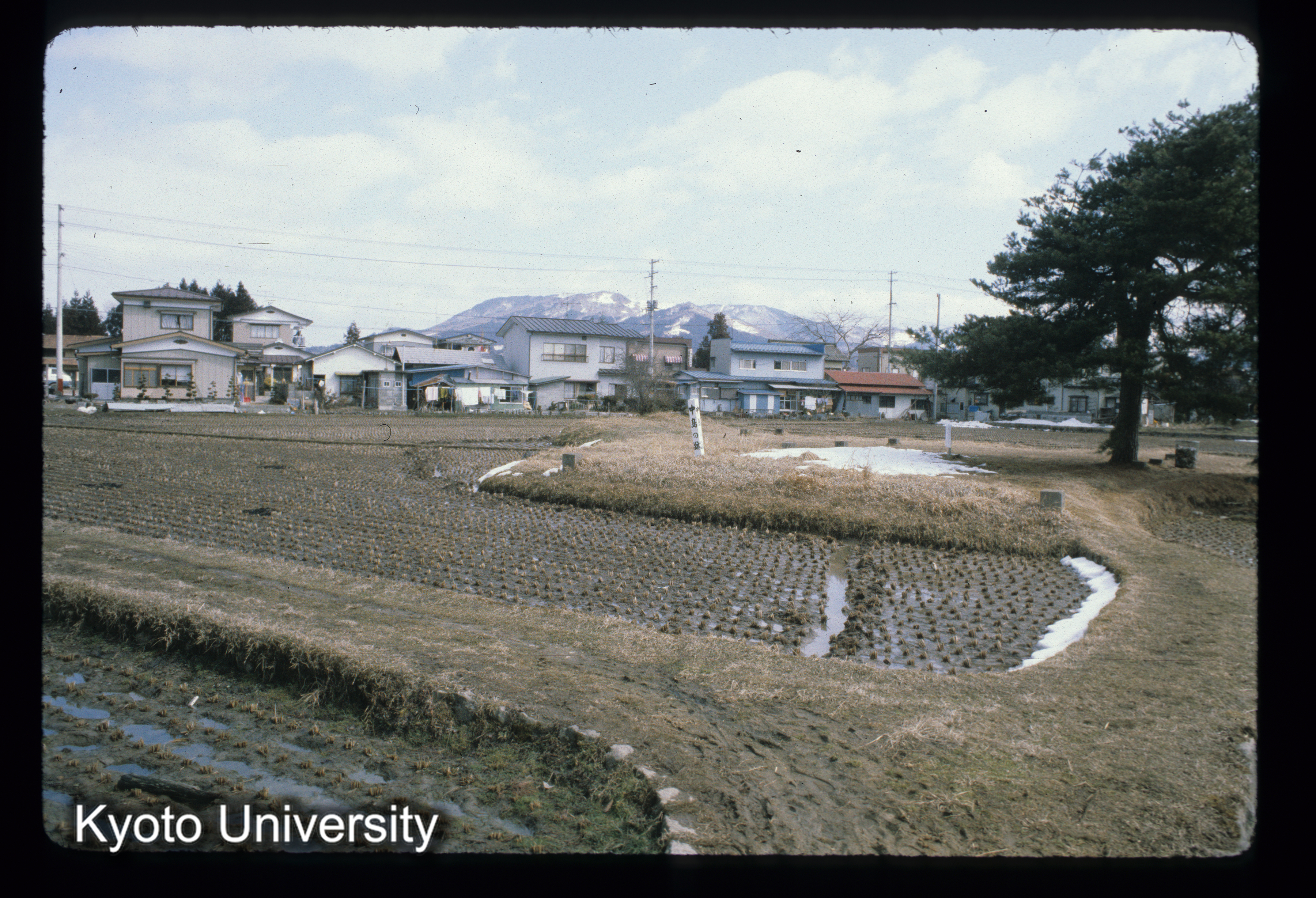 ［スライド］ (1)