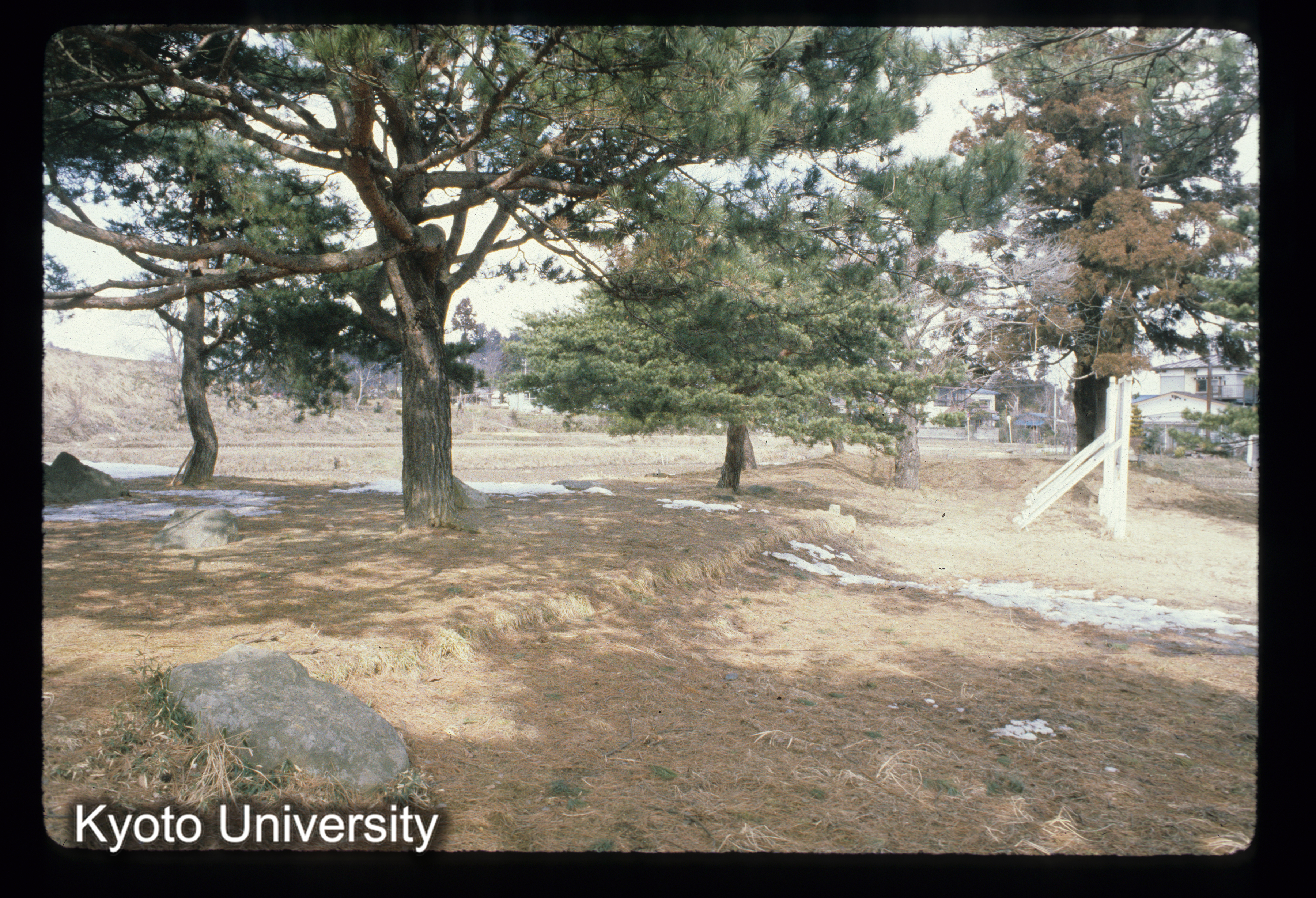 ［スライド］ (1)